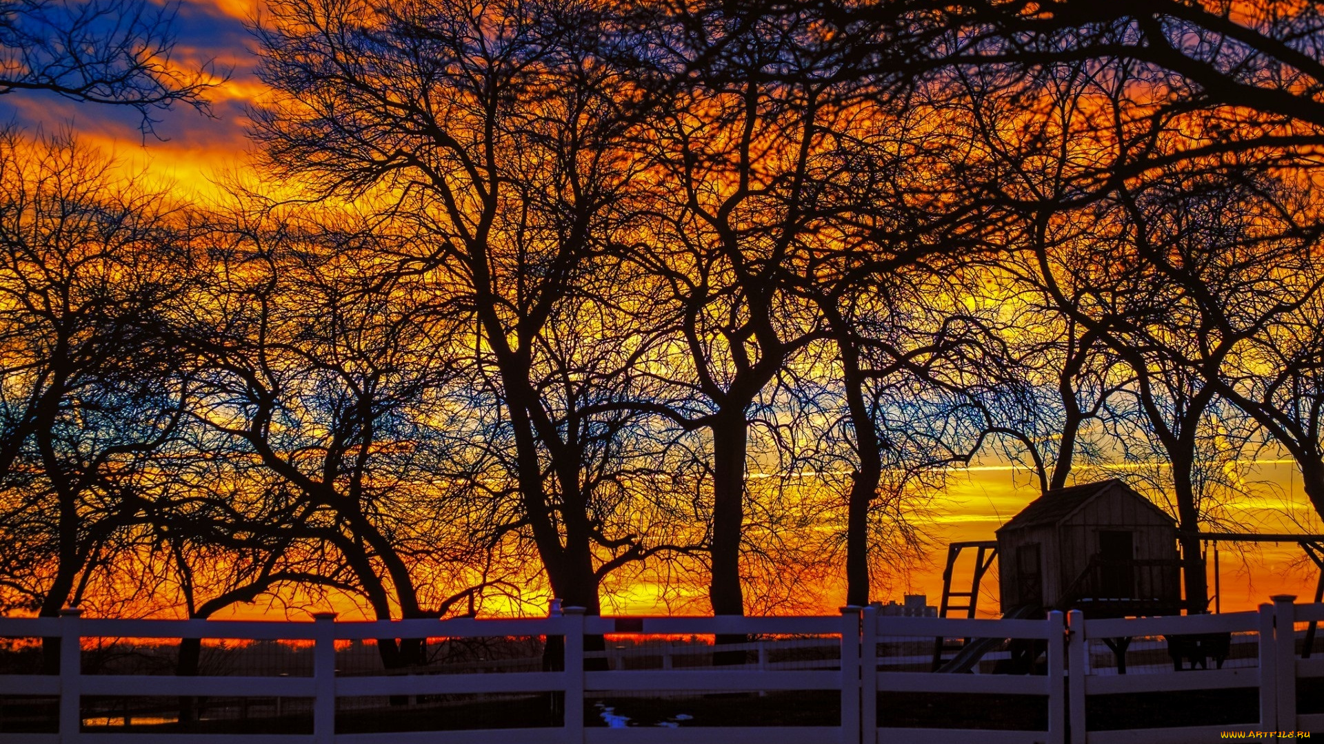 разное, сооружения, , постройки, деревья, закат, будка