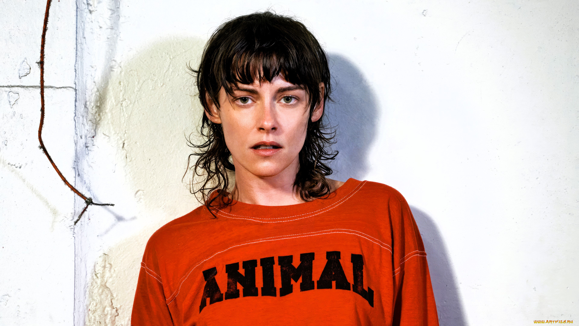 девушки, kristen, stewart, актриса, брюнетка, толстовка