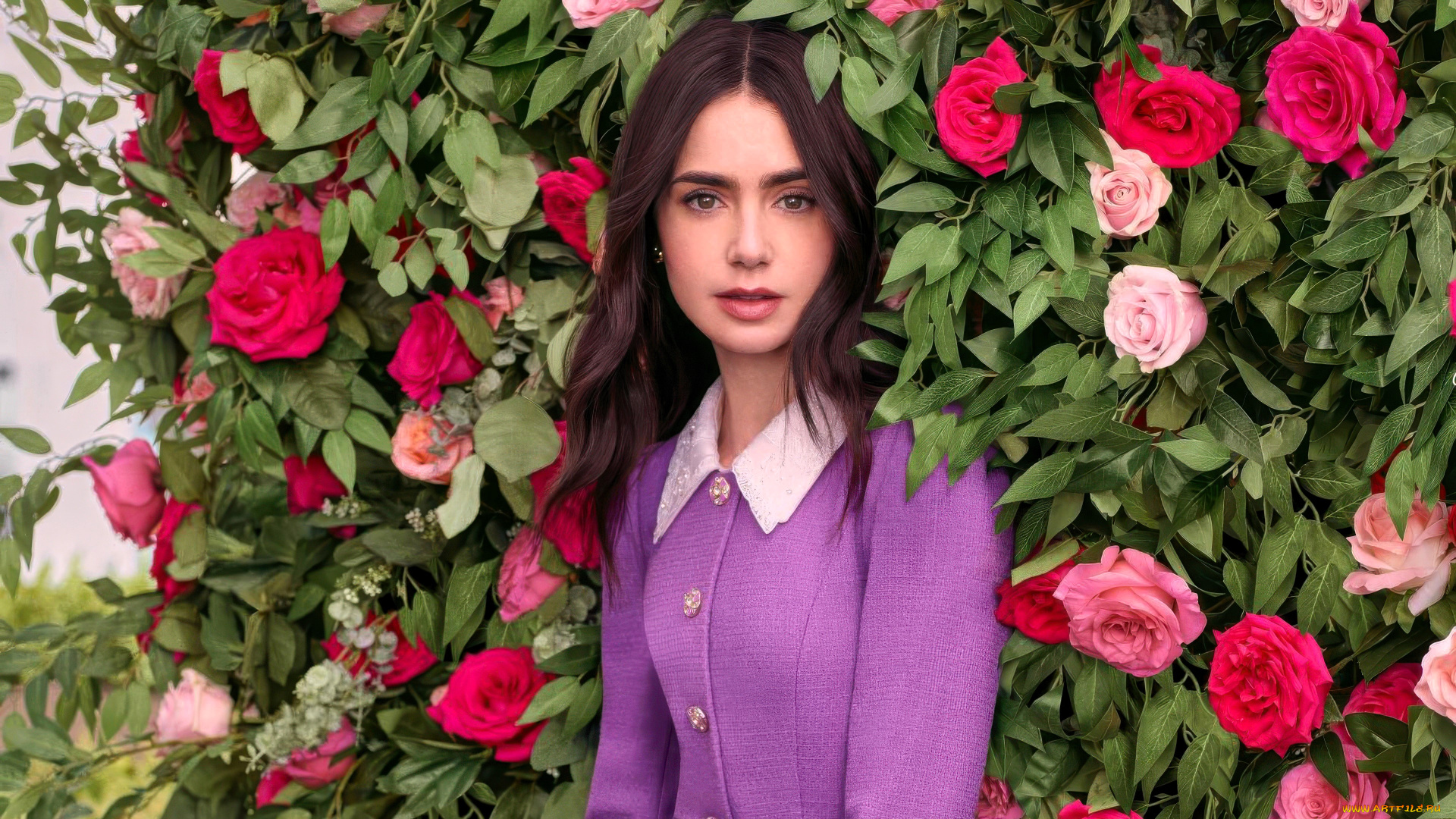 девушки, lily, collins, актриса, шатенка, жакет, кусты, розы