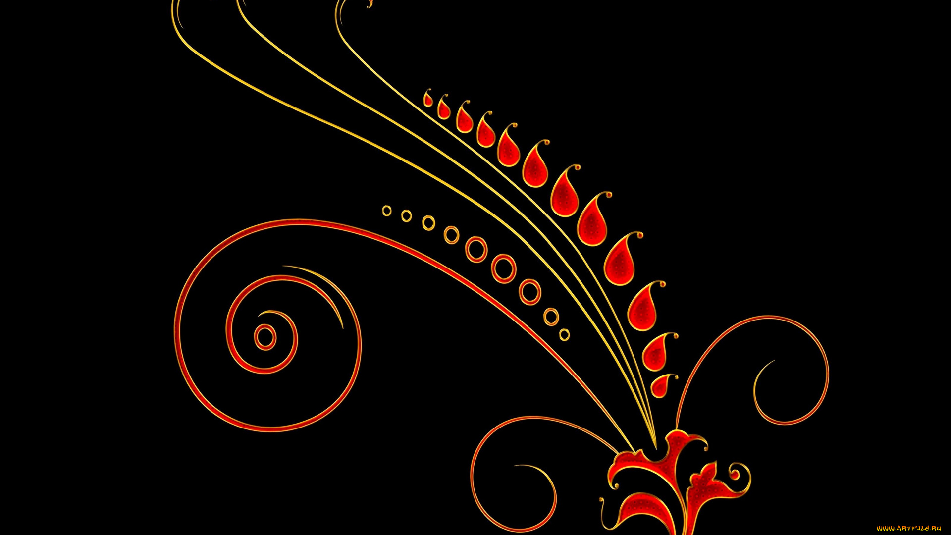 векторная, графика, цветы, , flowers, растение, черный, фон