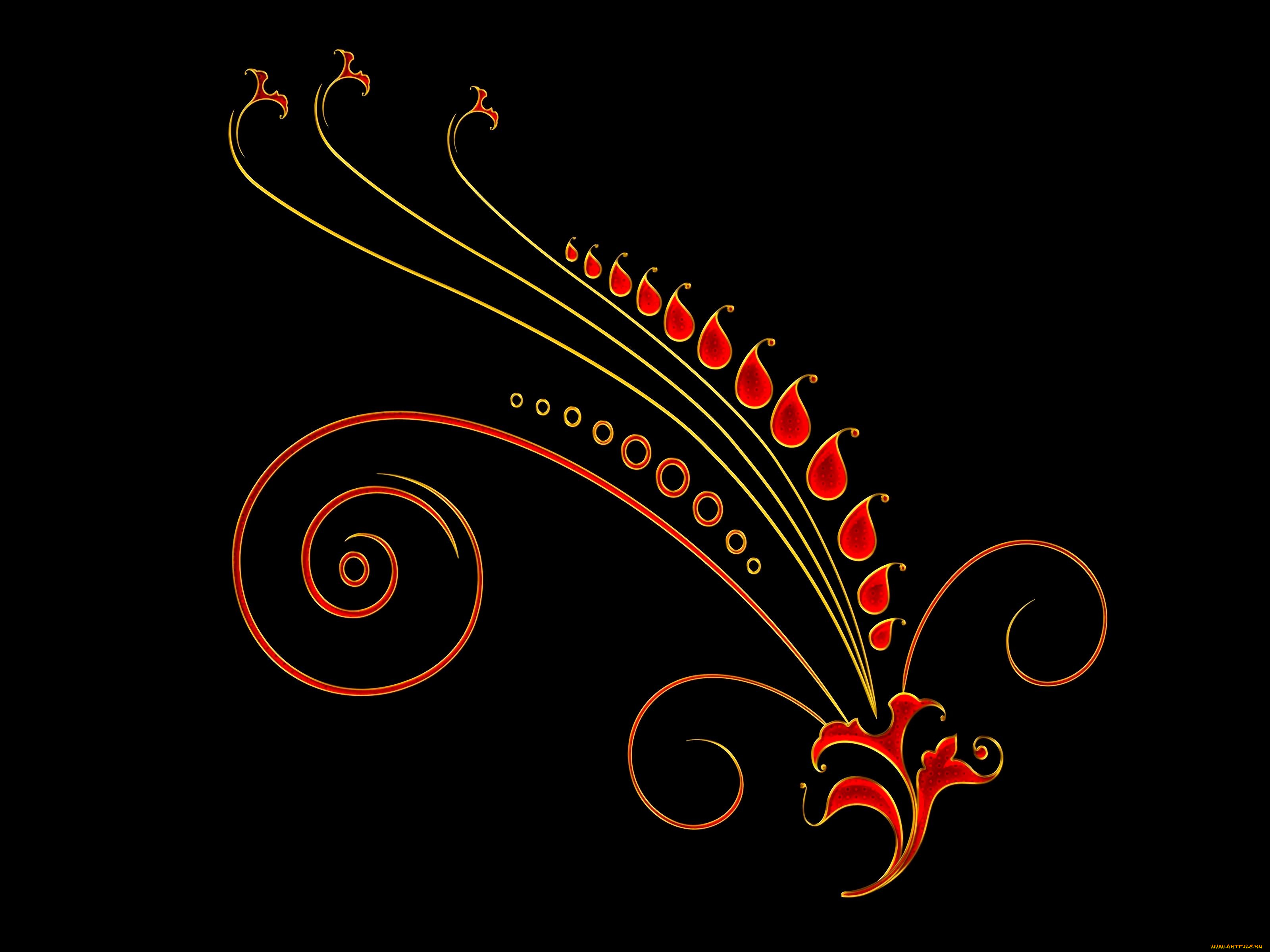 векторная, графика, цветы, , flowers, растение, черный, фон