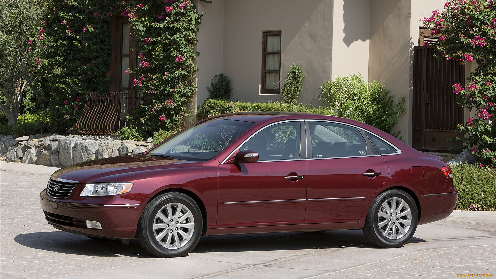 автомобили, hyundai