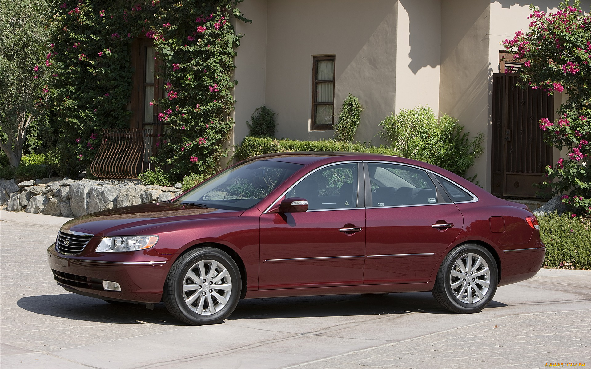 автомобили, hyundai