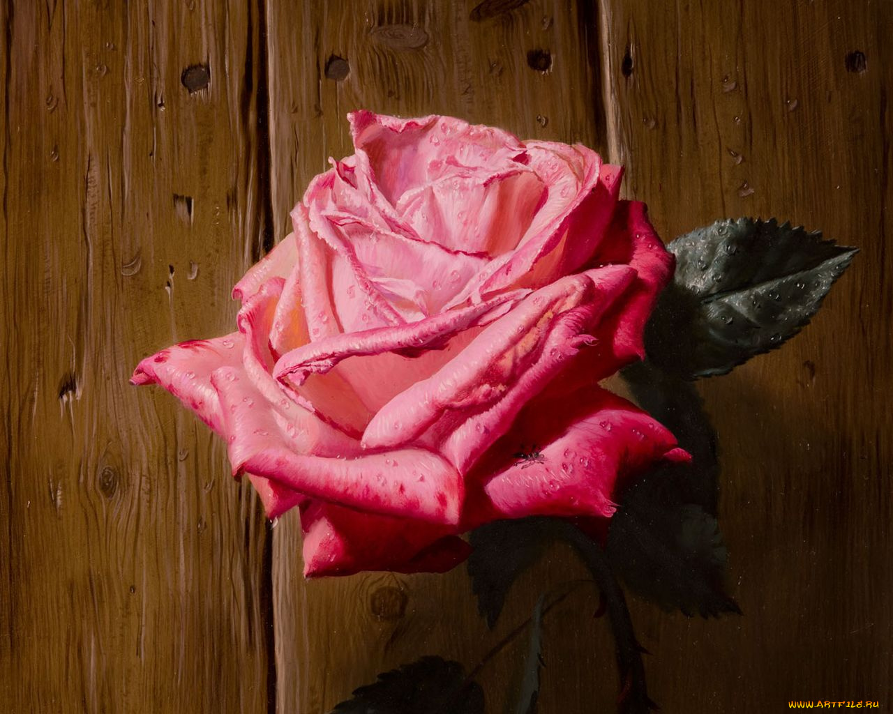 рисованные, цветы