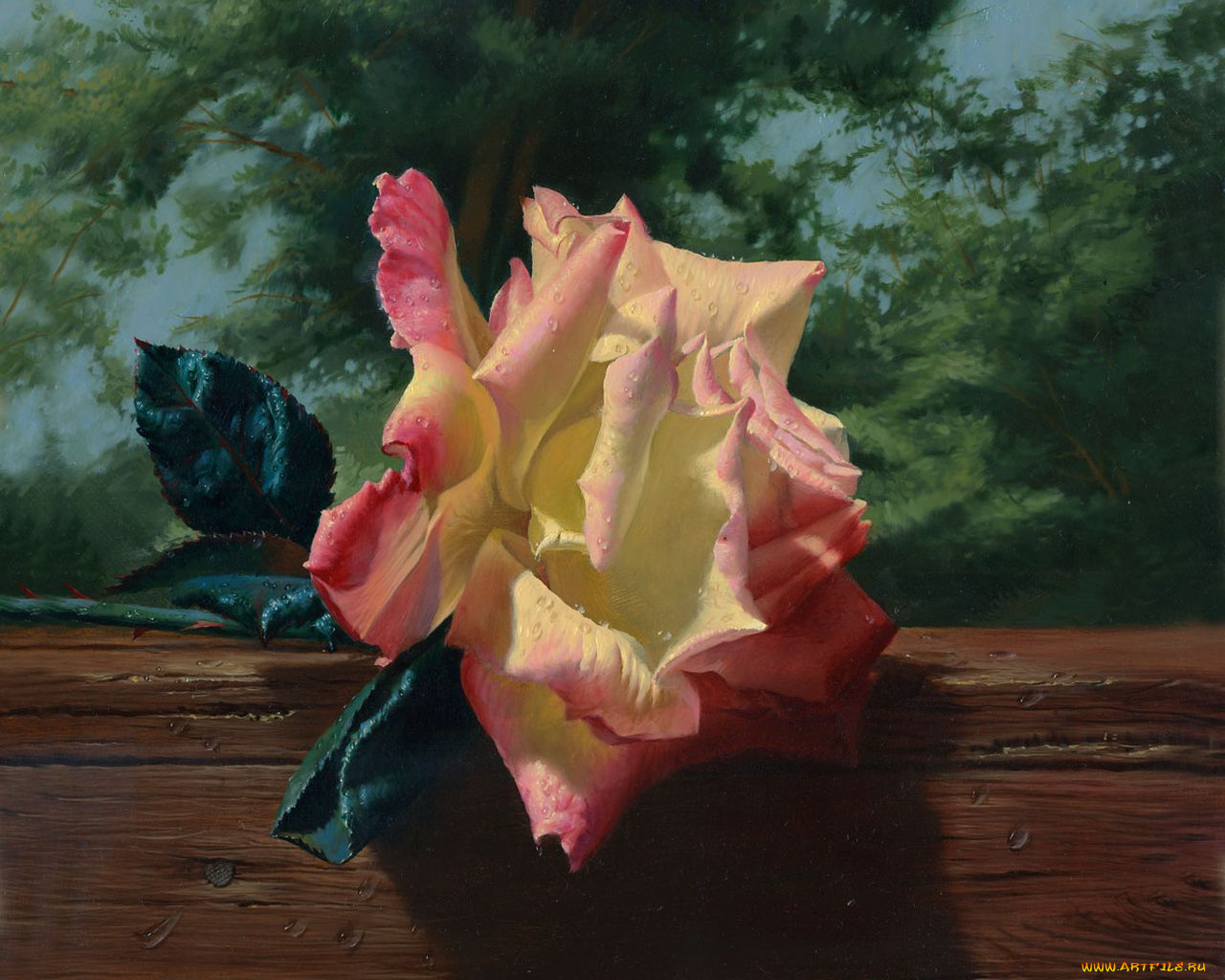 рисованные, цветы