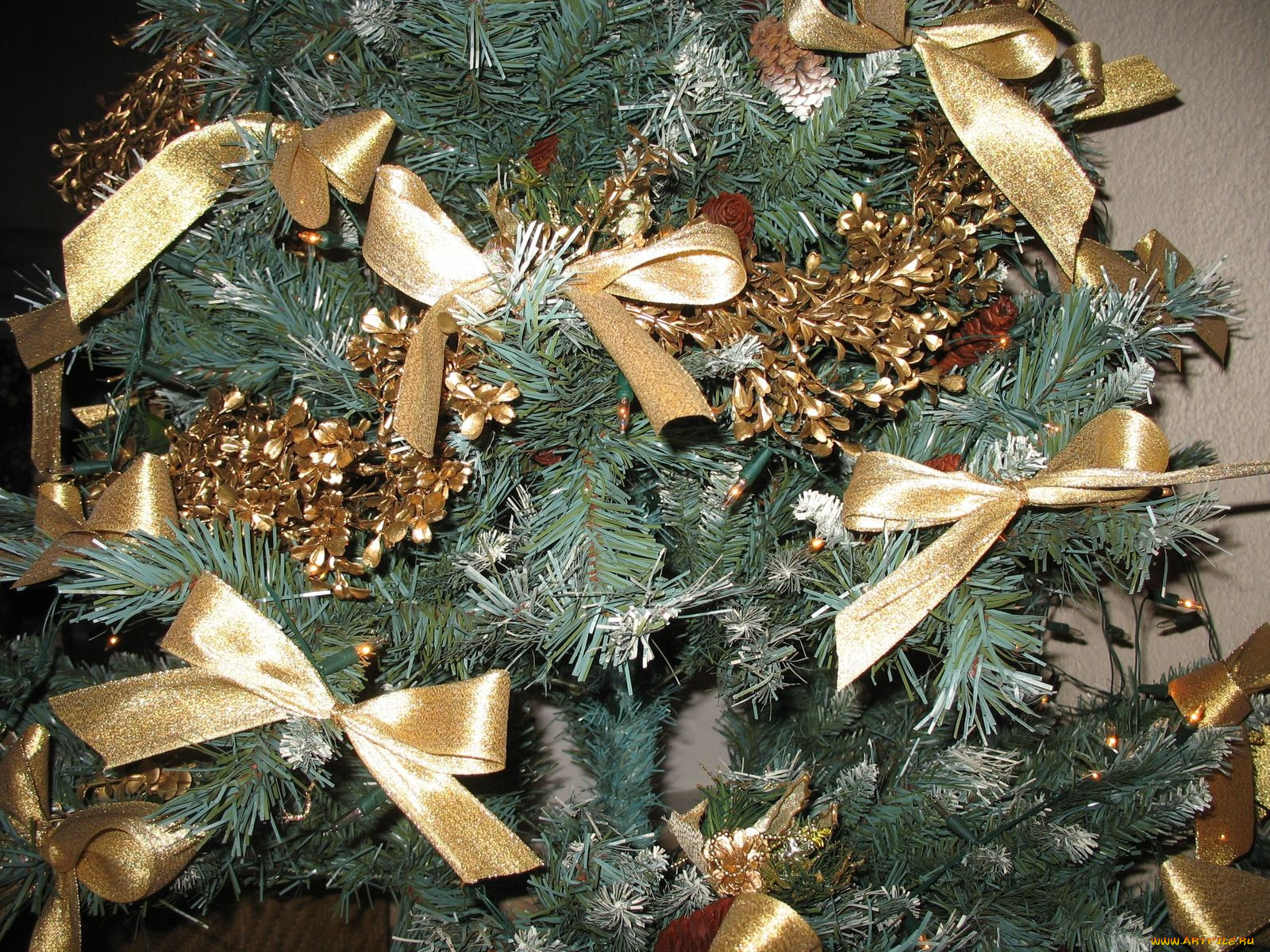 праздничные, Ёлки