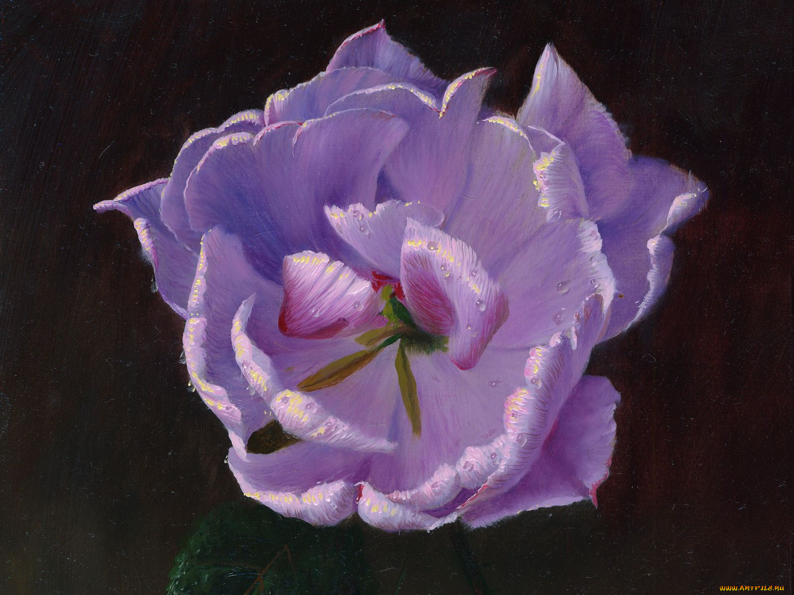 рисованные, цветы