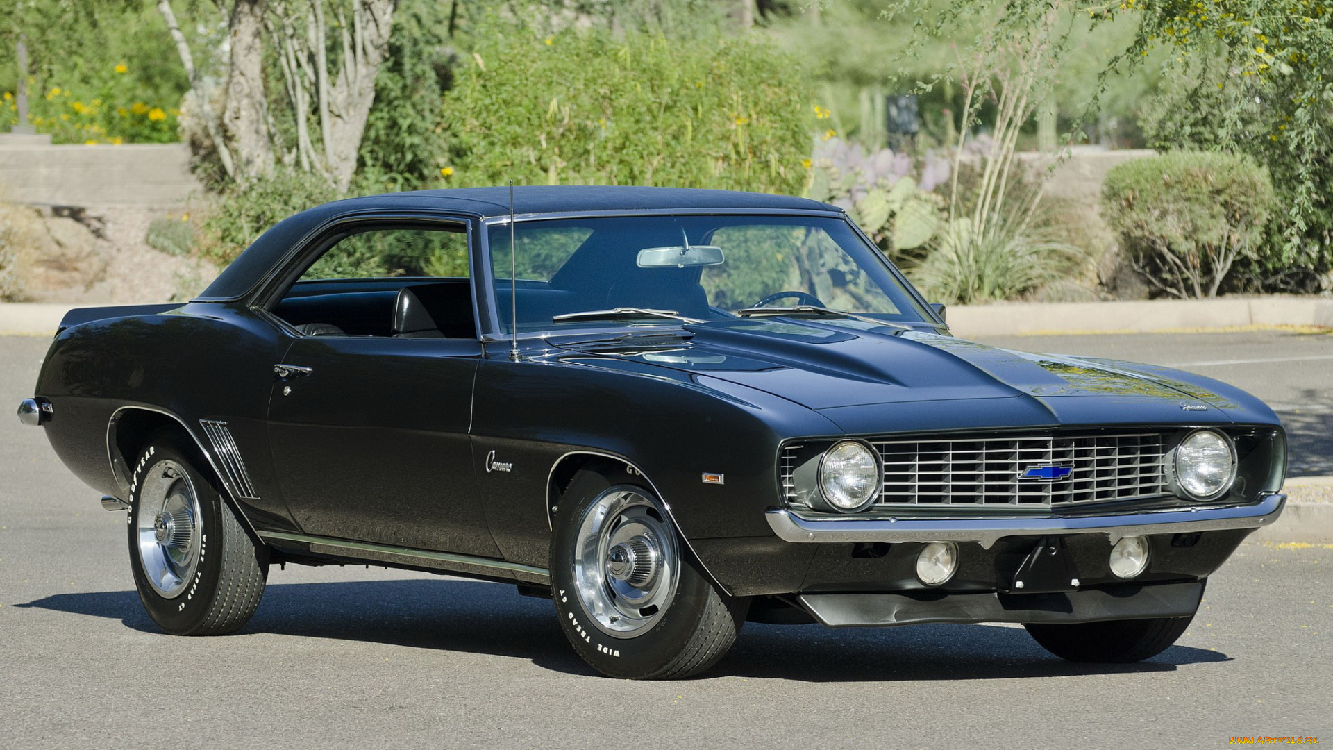 автомобили, camaro