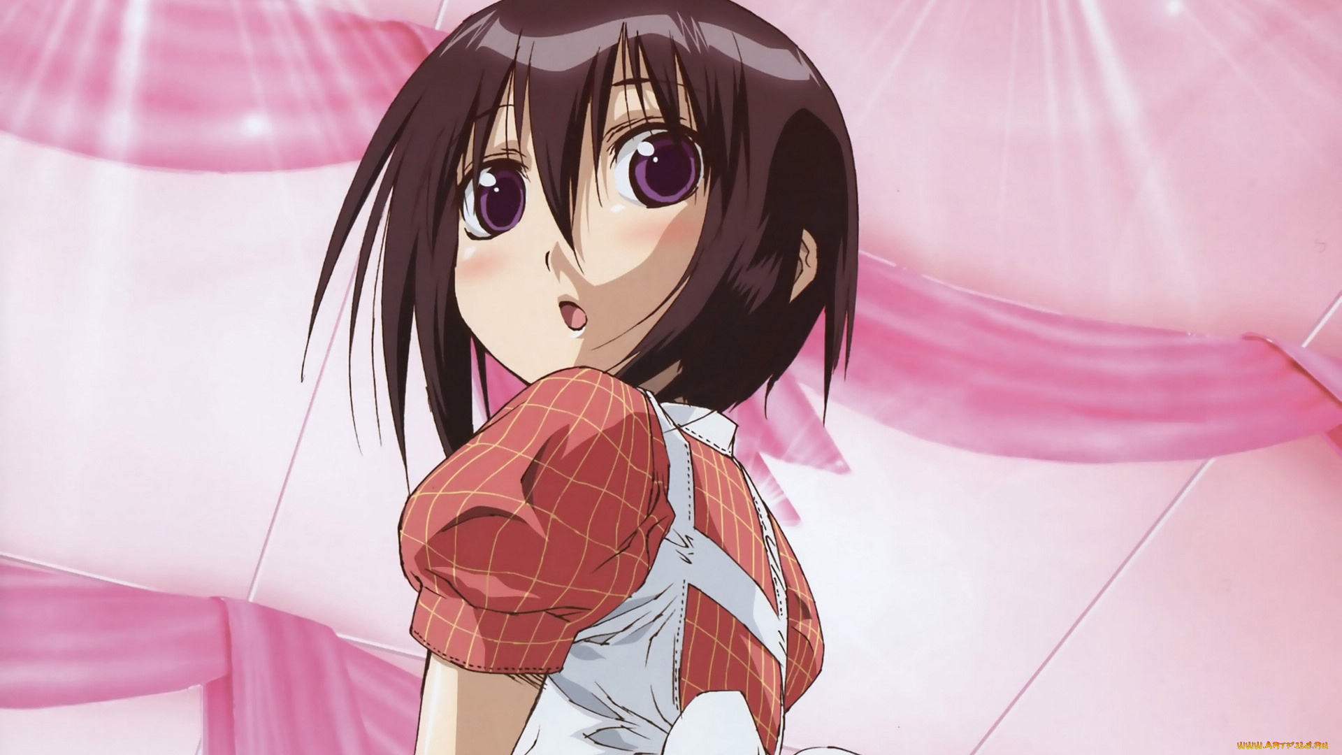 аниме, bamboo, blade