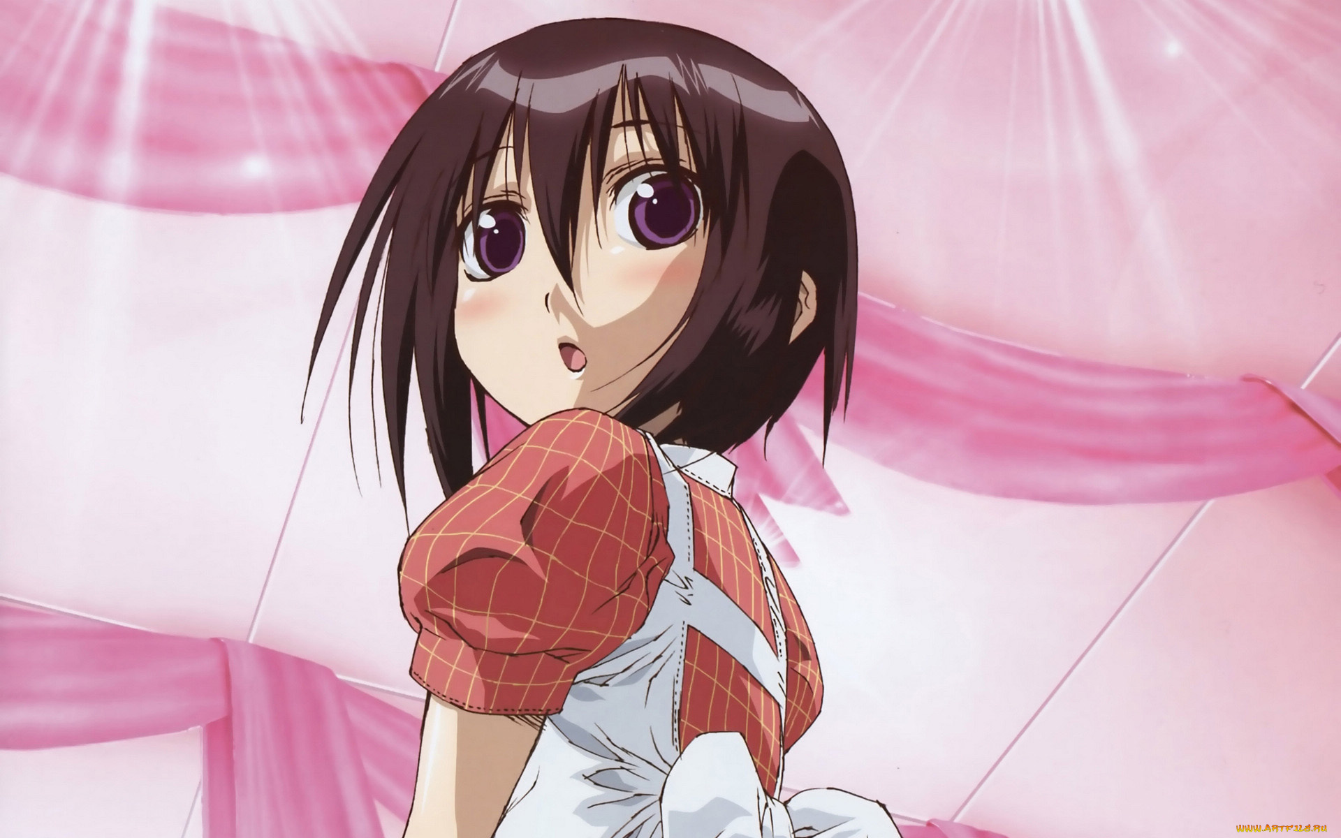 аниме, bamboo, blade