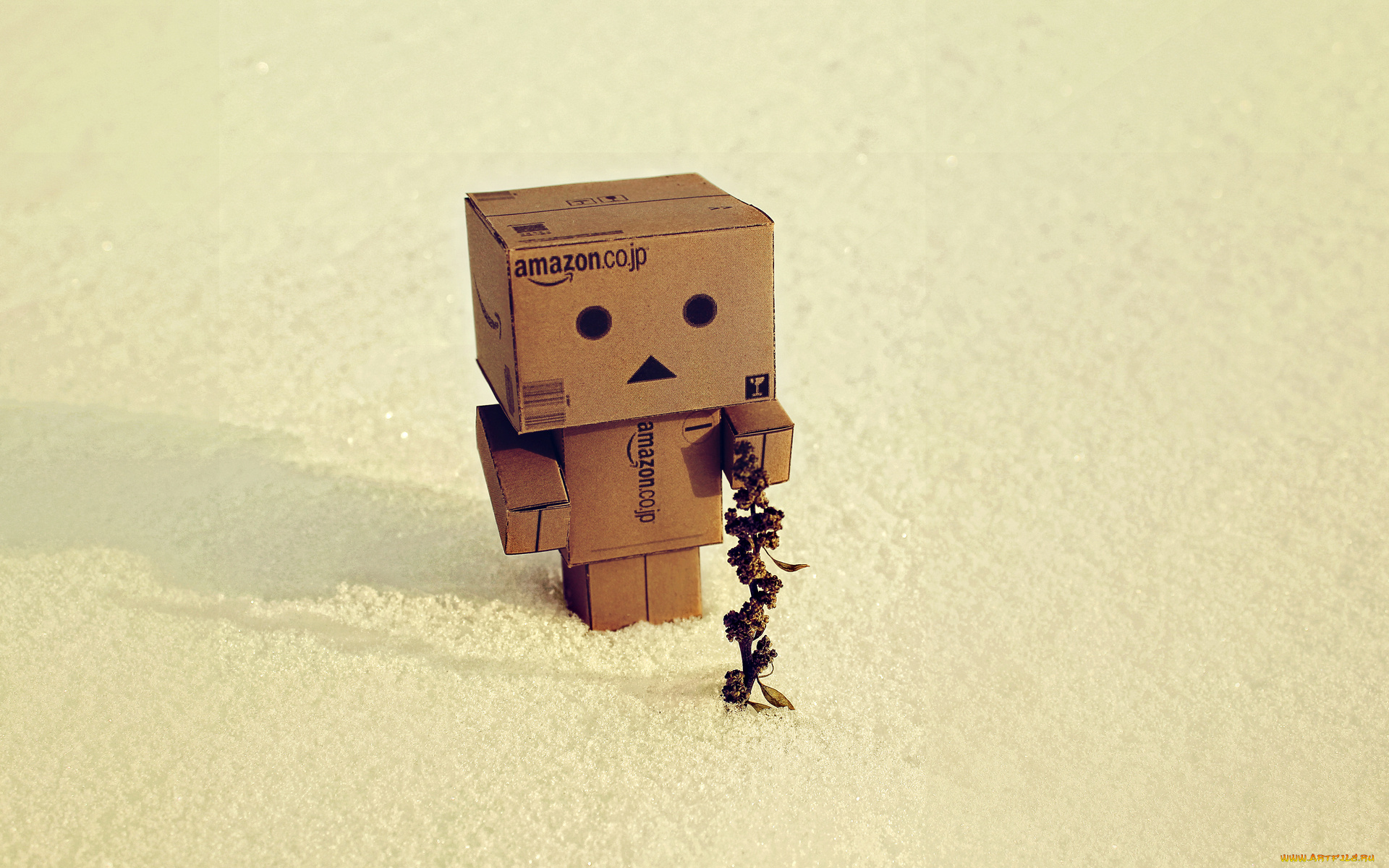 разное, данбо, danboard, amazon, коробка, danbo, зима, растение, сухое, трава, снег, коробок