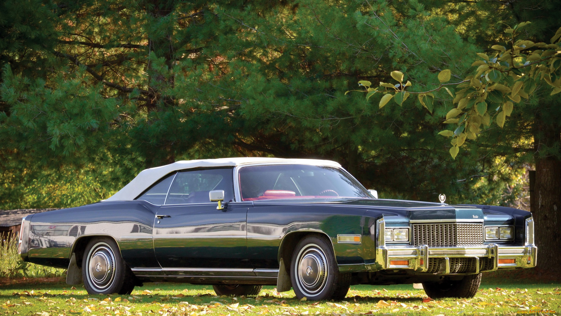 автомобили, cadillac