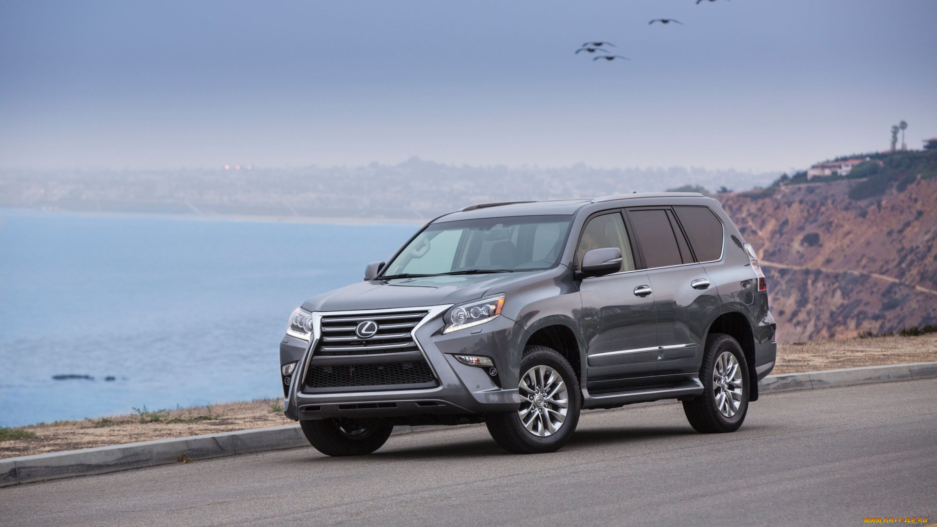 автомобили, infiniti, бампер