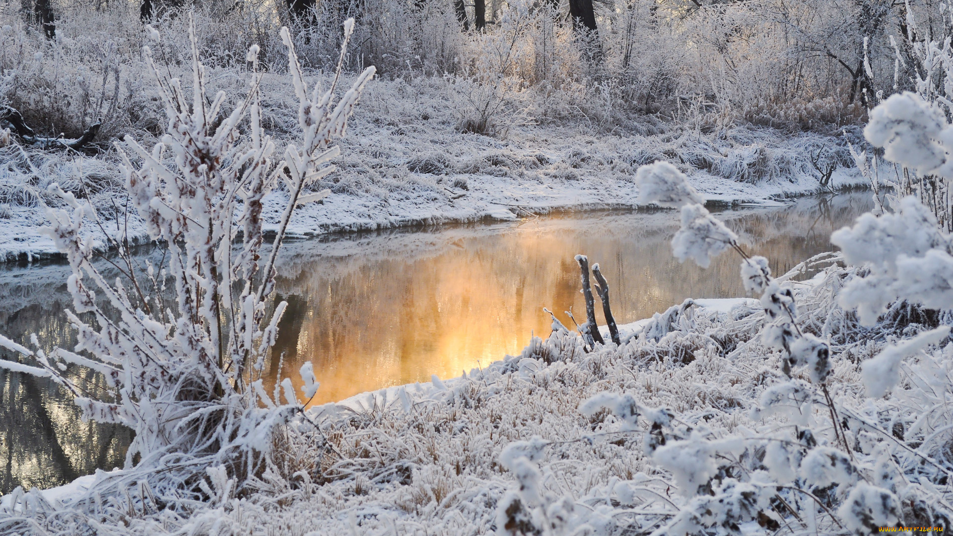 природа, реки, озера, отражение, деревья, вода, снег, зима