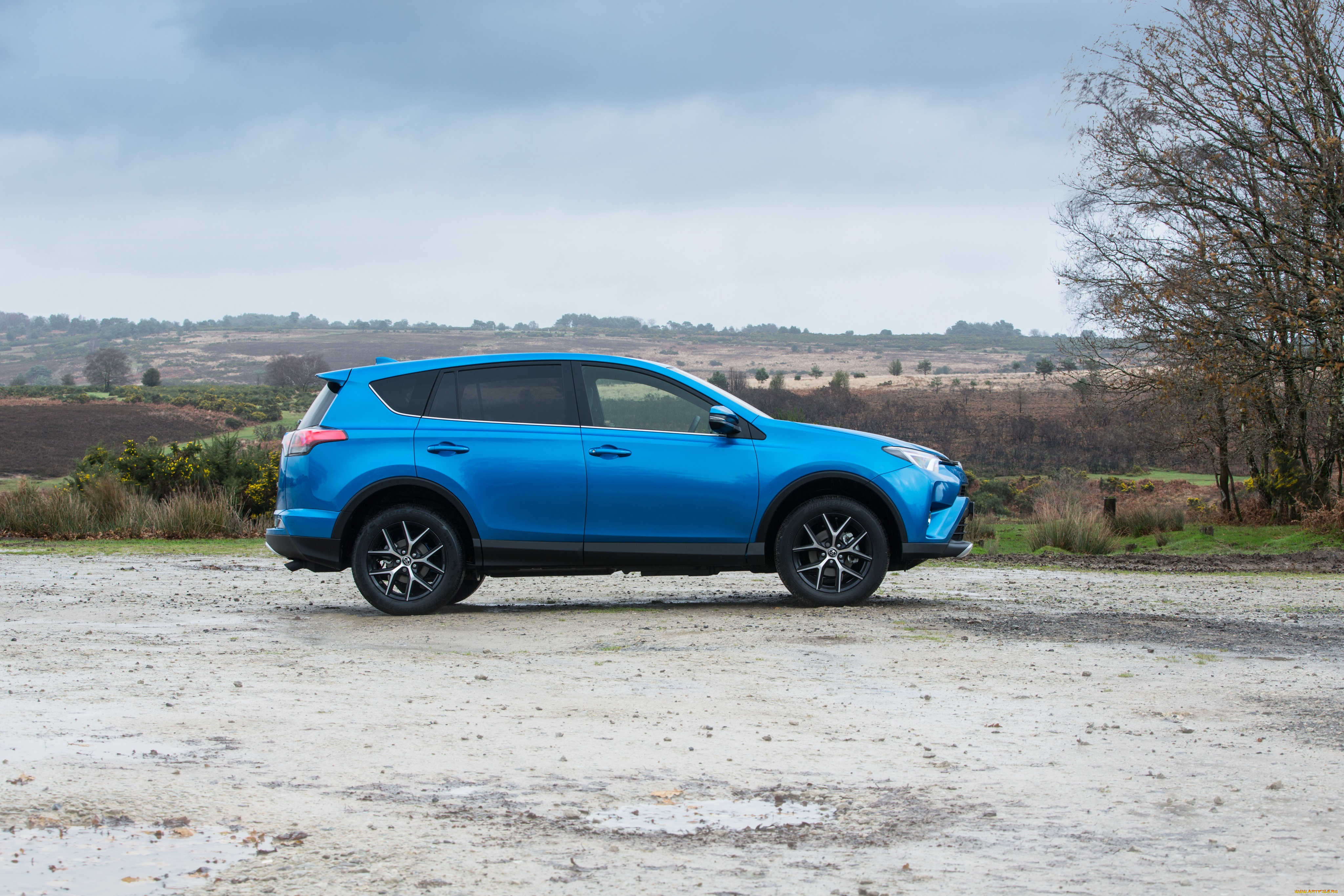 автомобили, toyota, 2015г, uk-spec, rav4