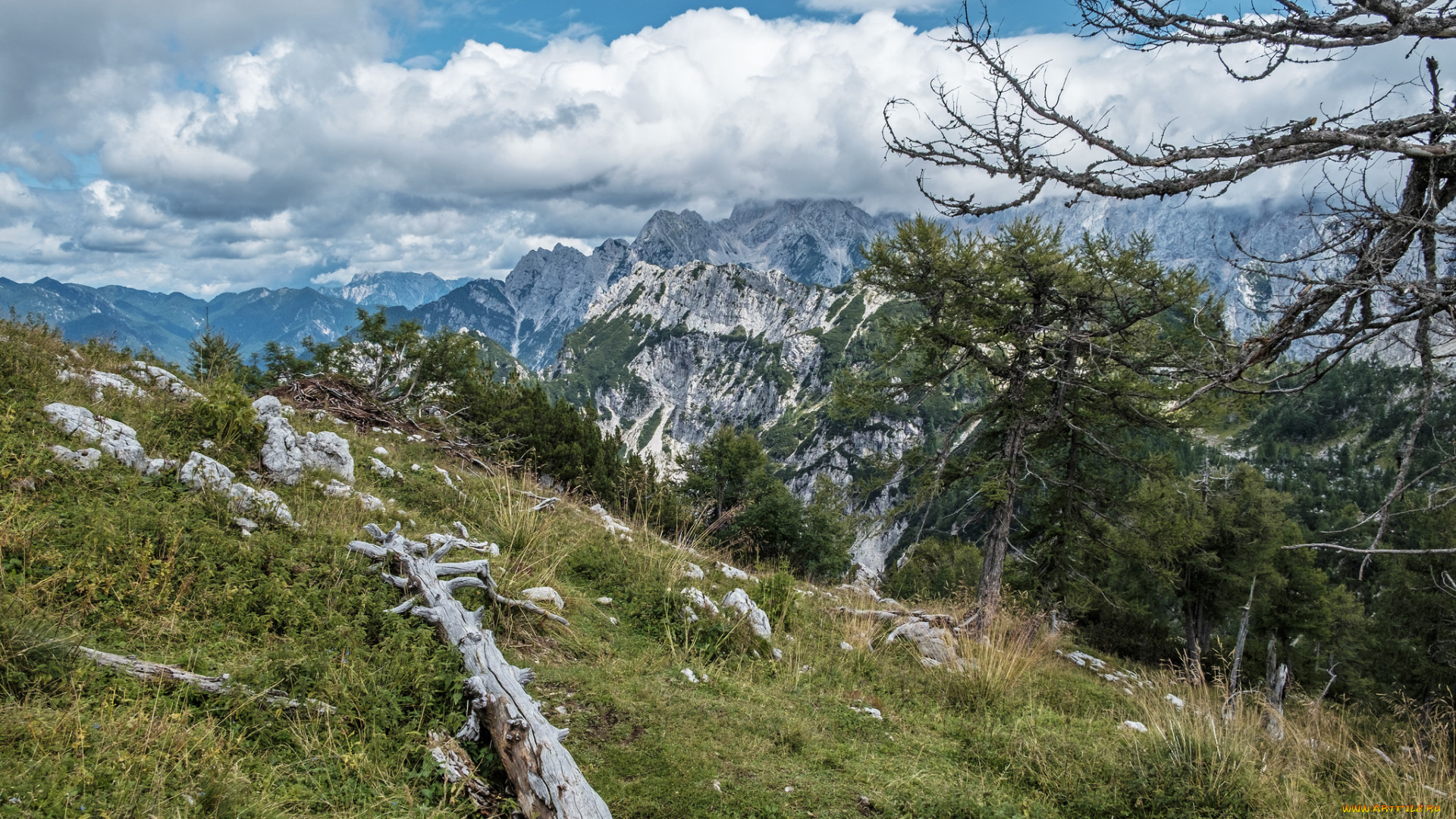 природа, горы, простор