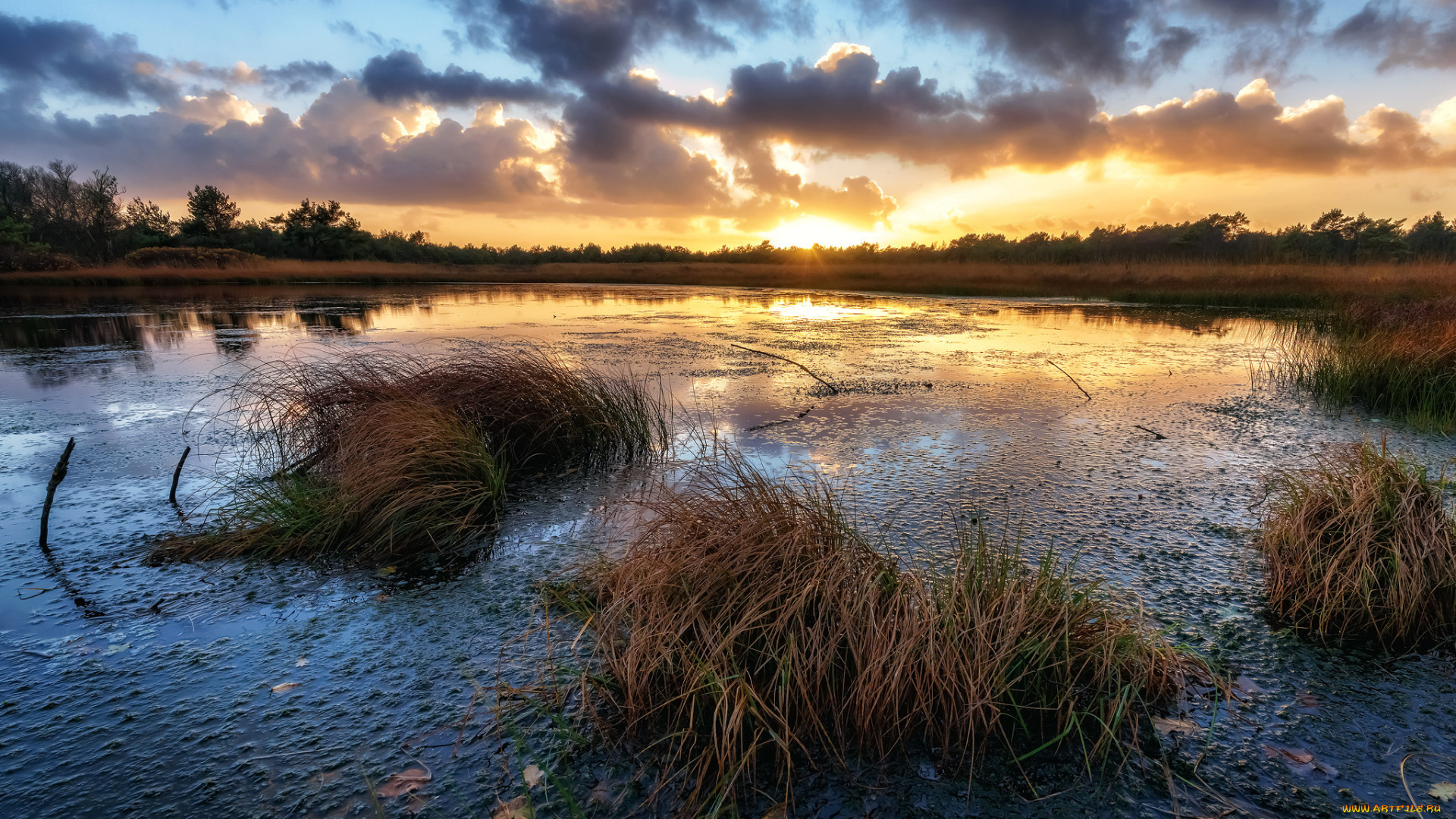 природа, реки, озера, простор