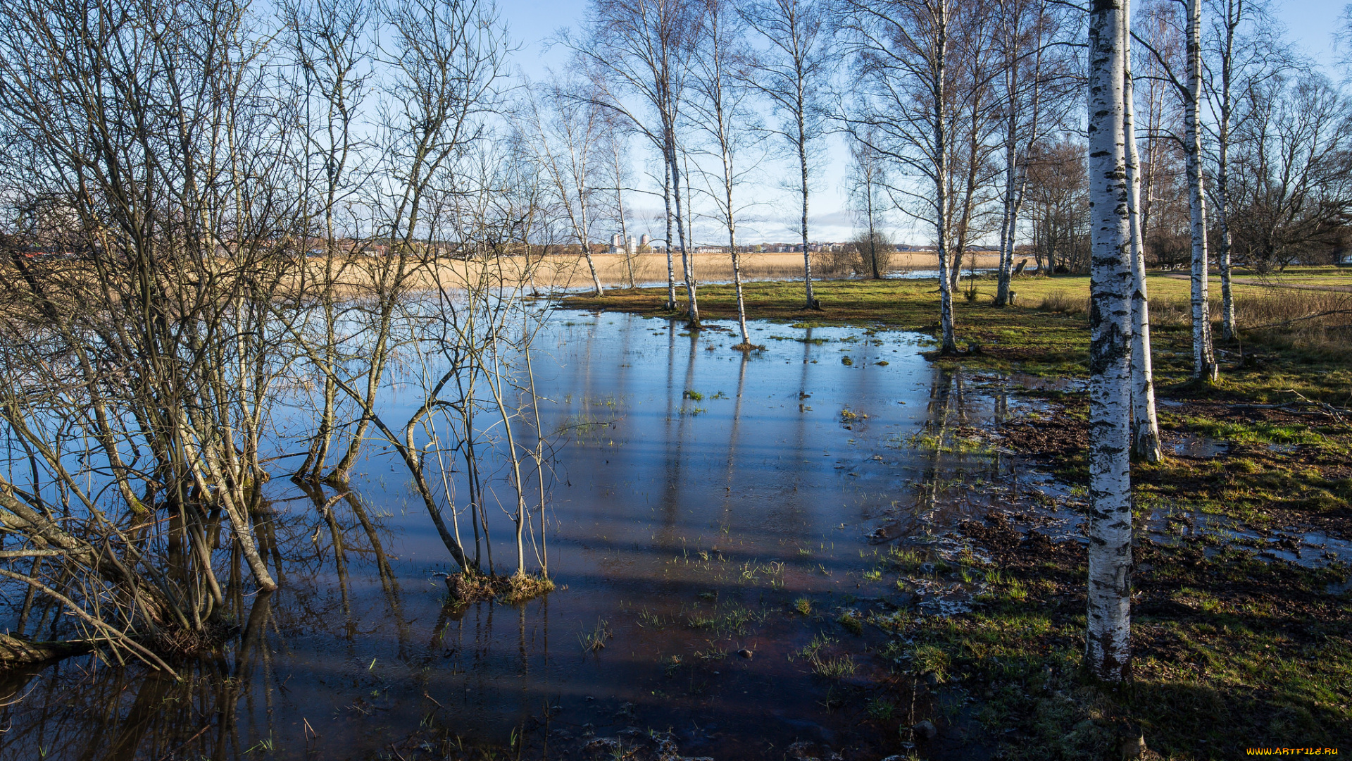 природа, реки, озера, простор