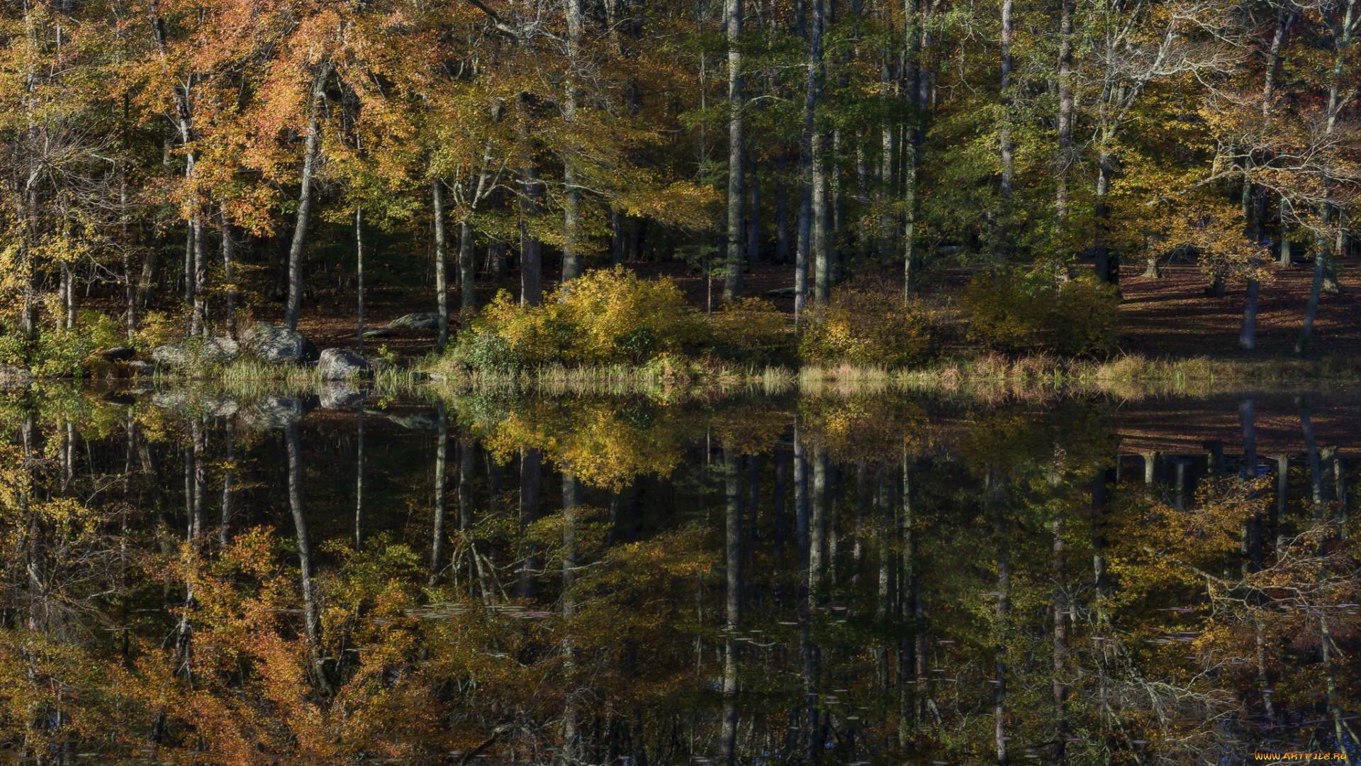 природа, реки, озера, простор