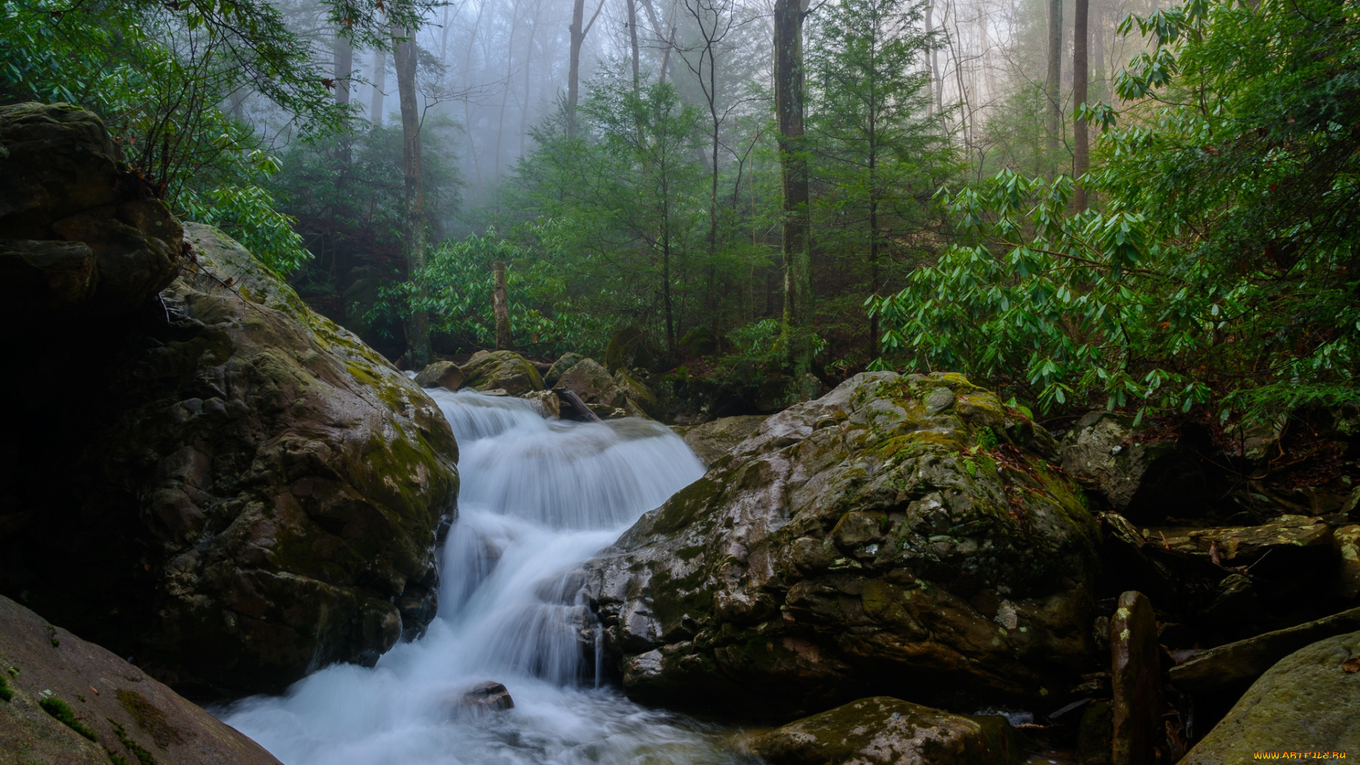 природа, реки, озера, простор