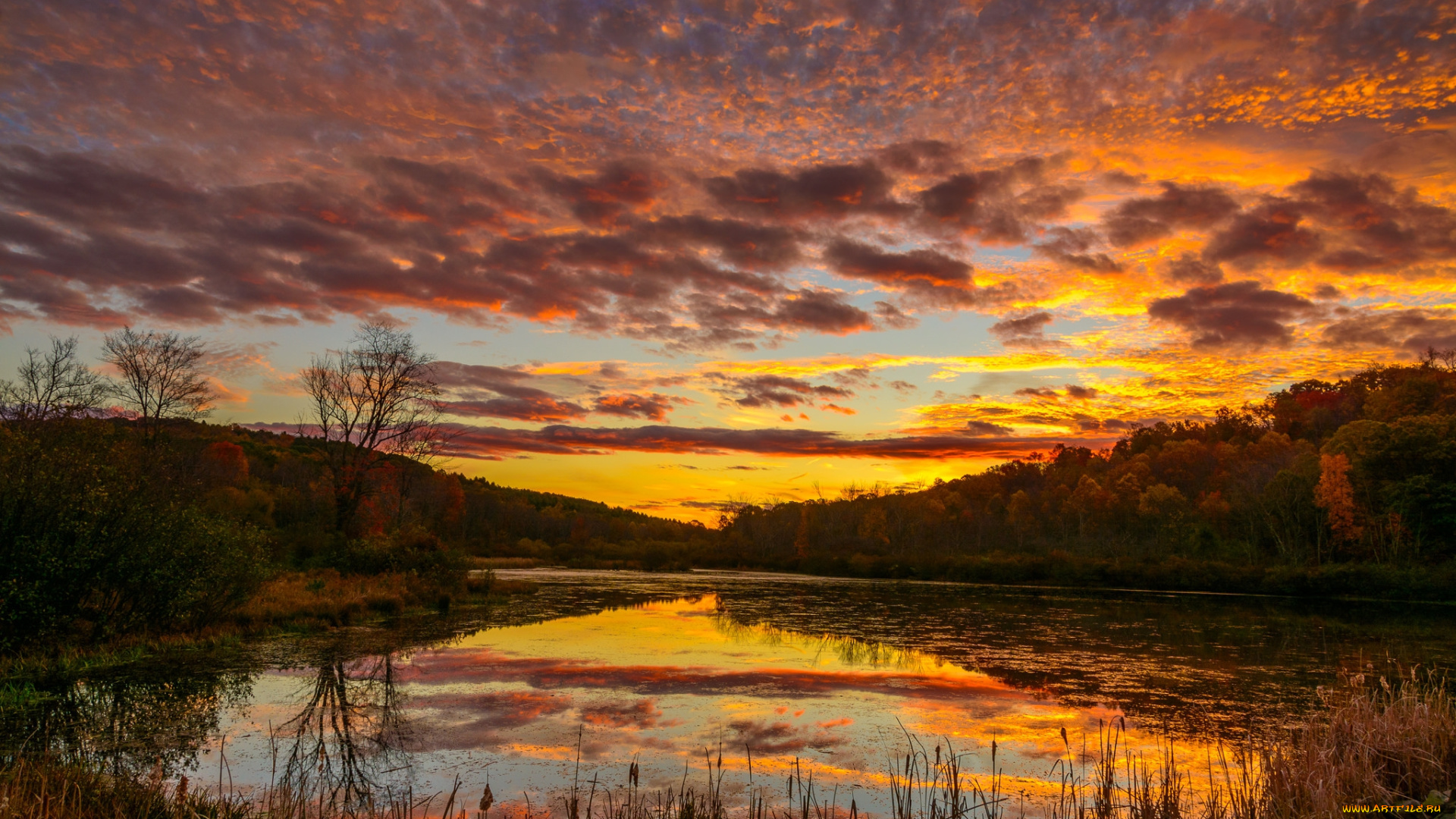 природа, реки, озера, простор