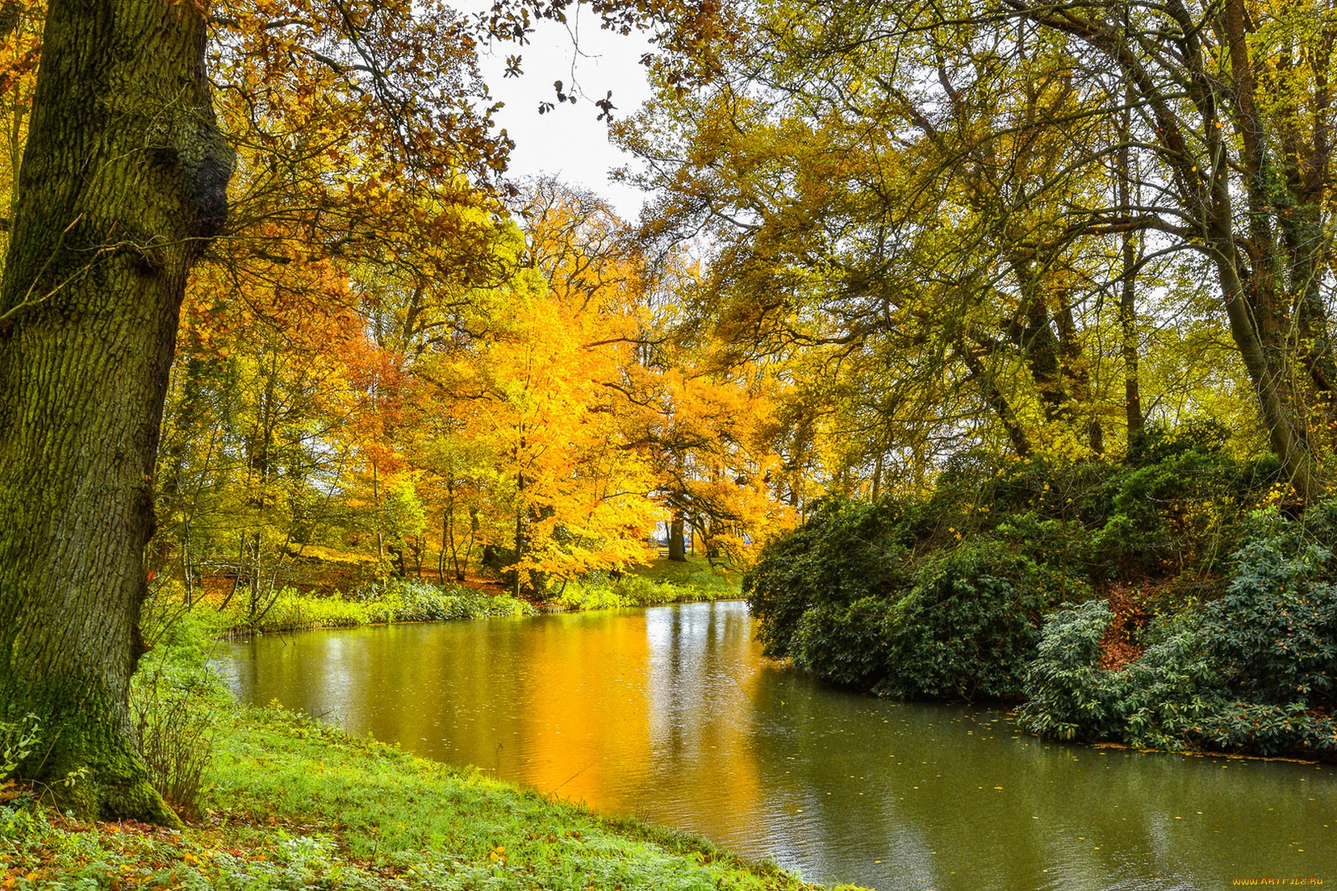 природа, реки, озера, простор