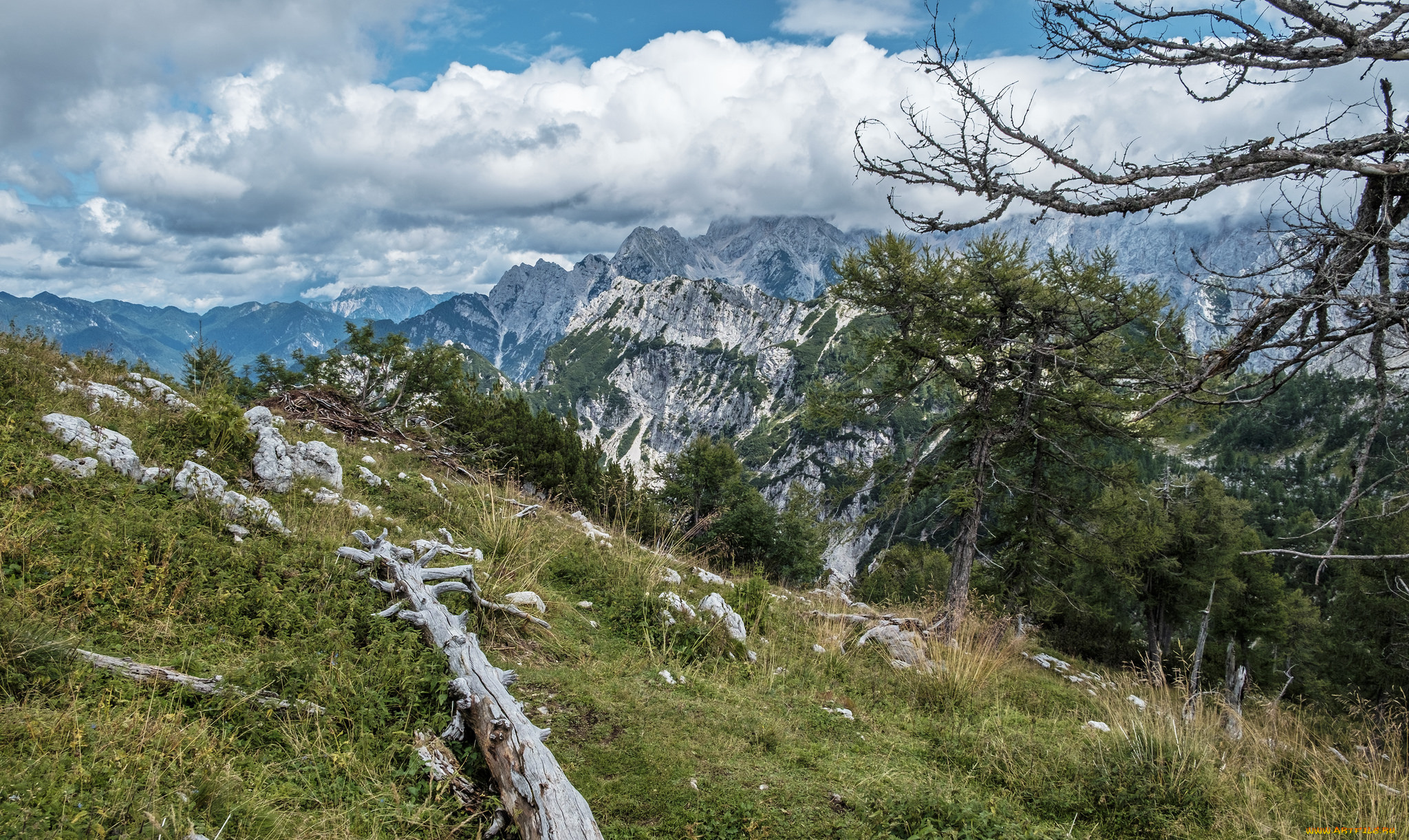 природа, горы, простор