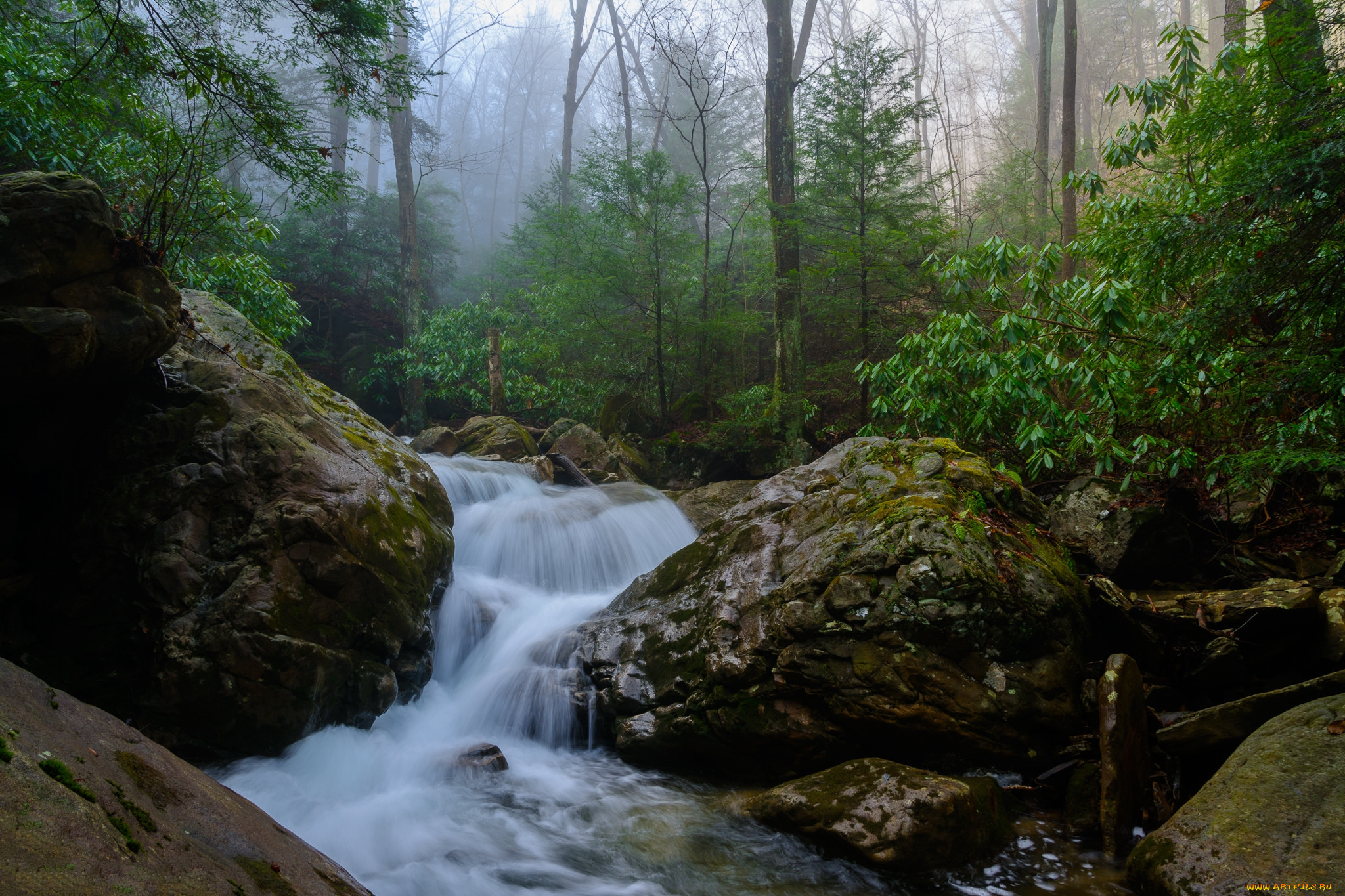 природа, реки, озера, простор