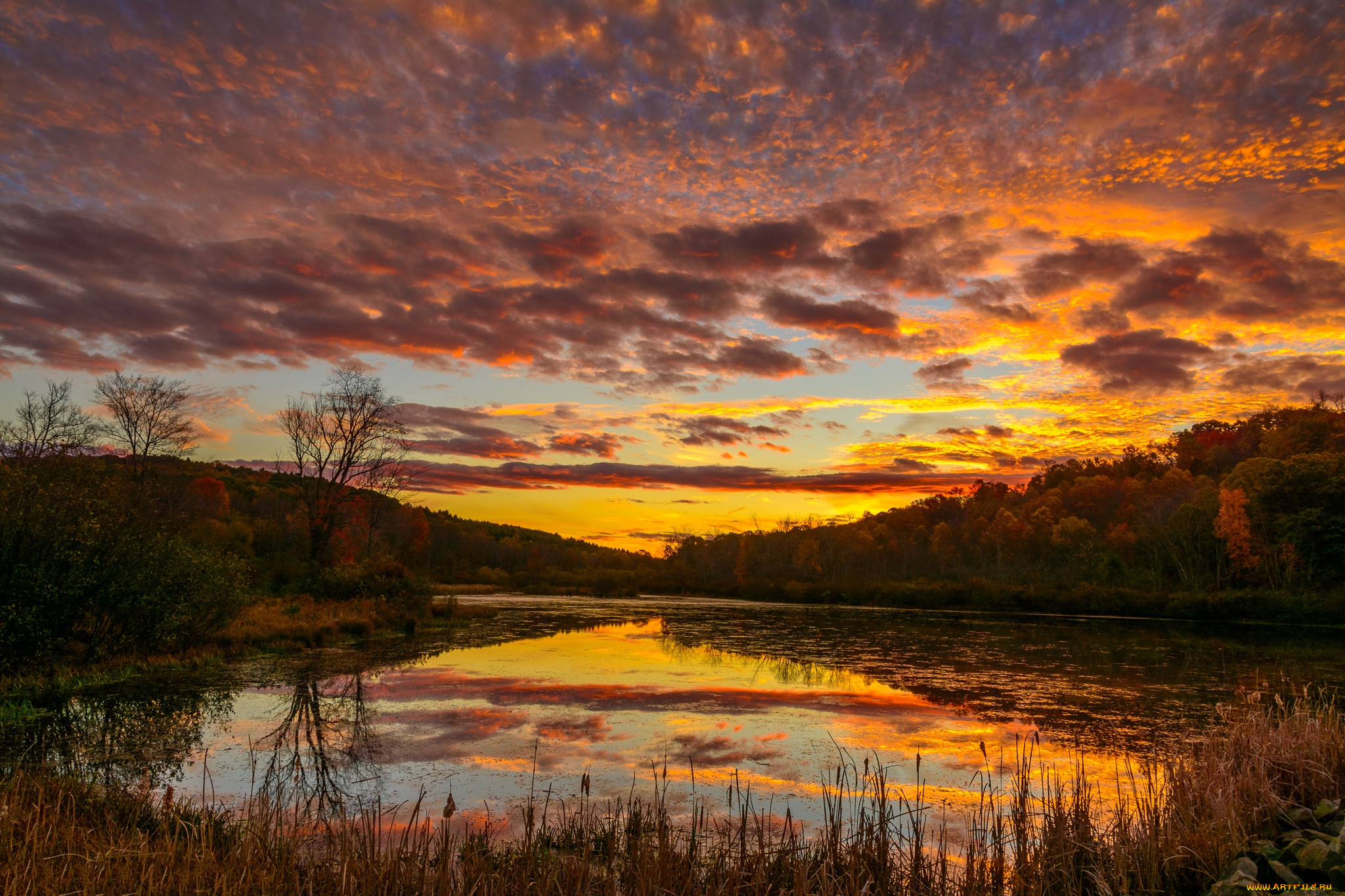 природа, реки, озера, простор