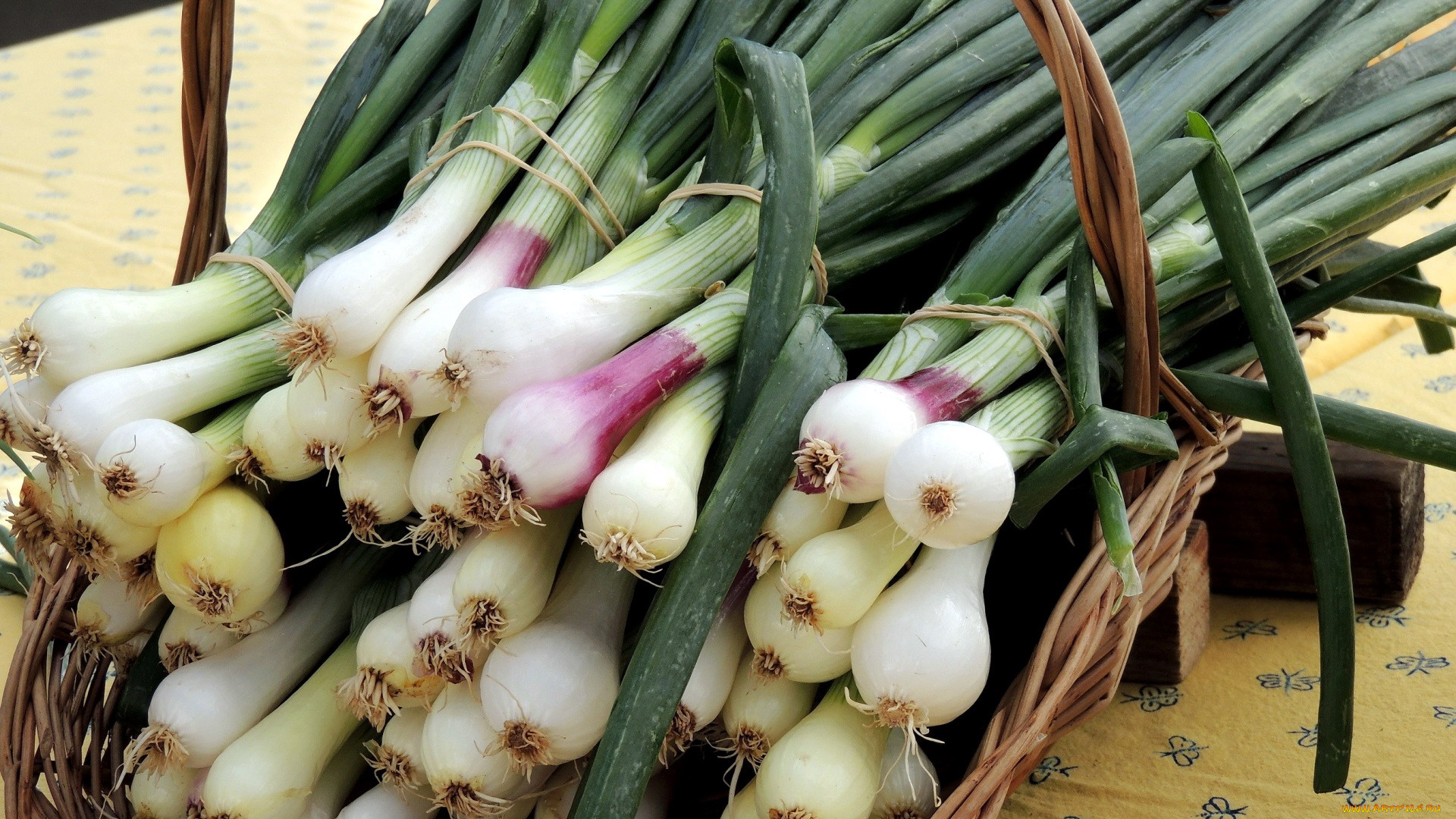 еда, лук, пучок, перо, зеленый