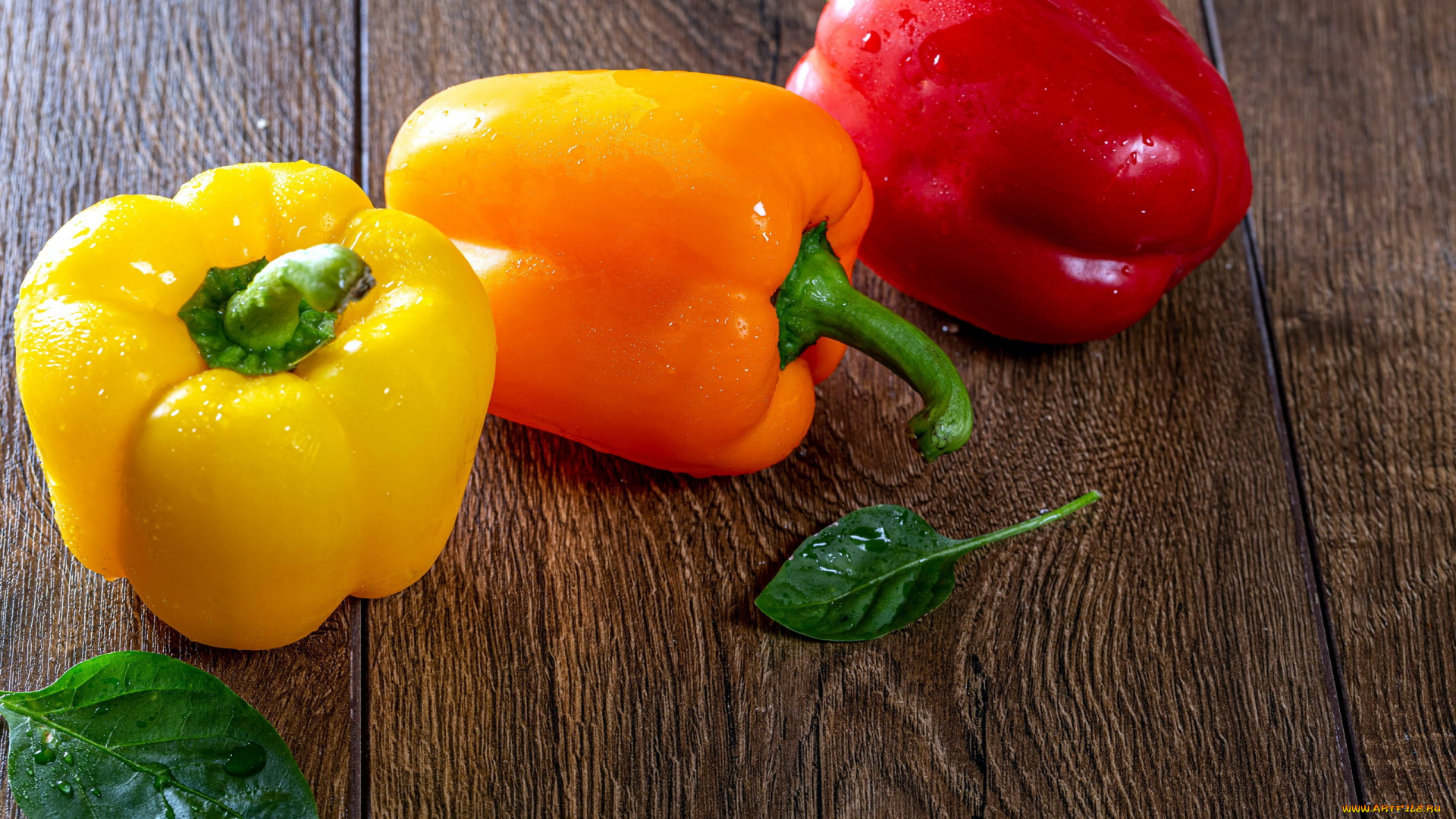 еда, перец, трио