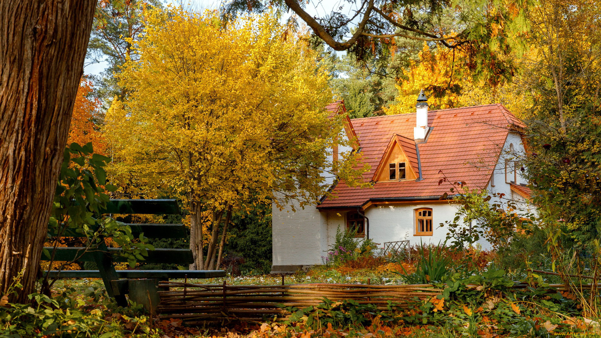 города, -, здания, , дома, осень, листопад, дом