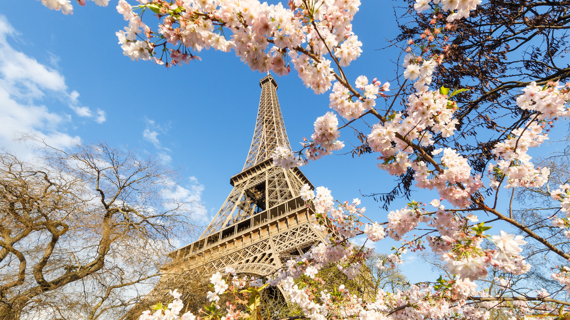 города, париж, , франция, простор