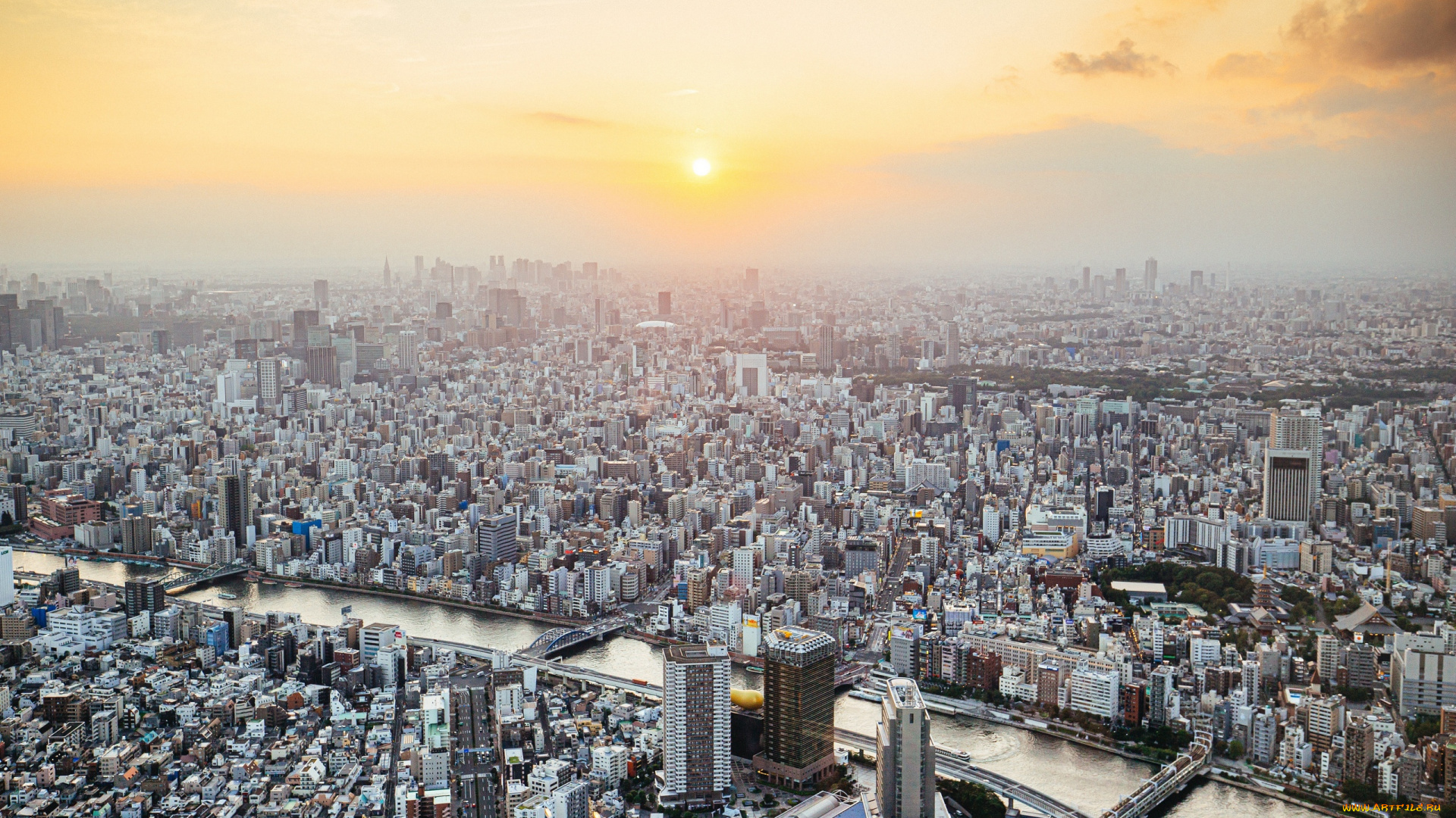 города, токио, , япония, токио, город, застройка, здания, панорама