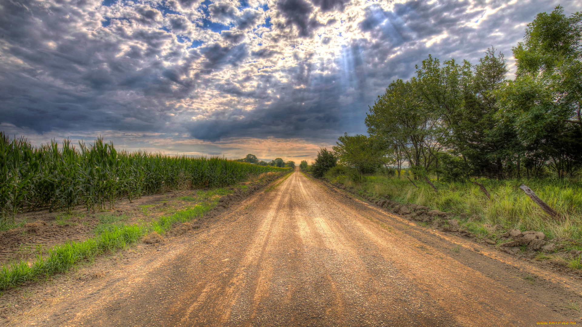 природа, дороги, простор