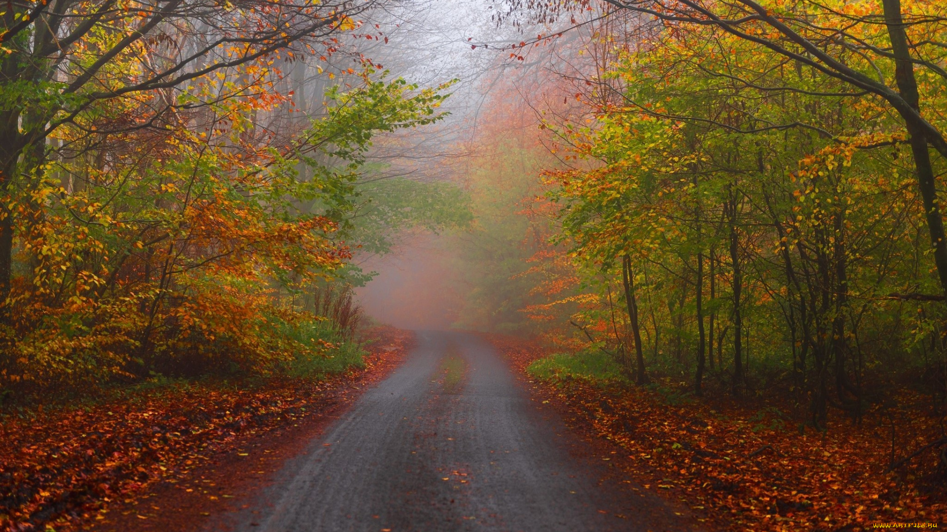 природа, дороги, простор