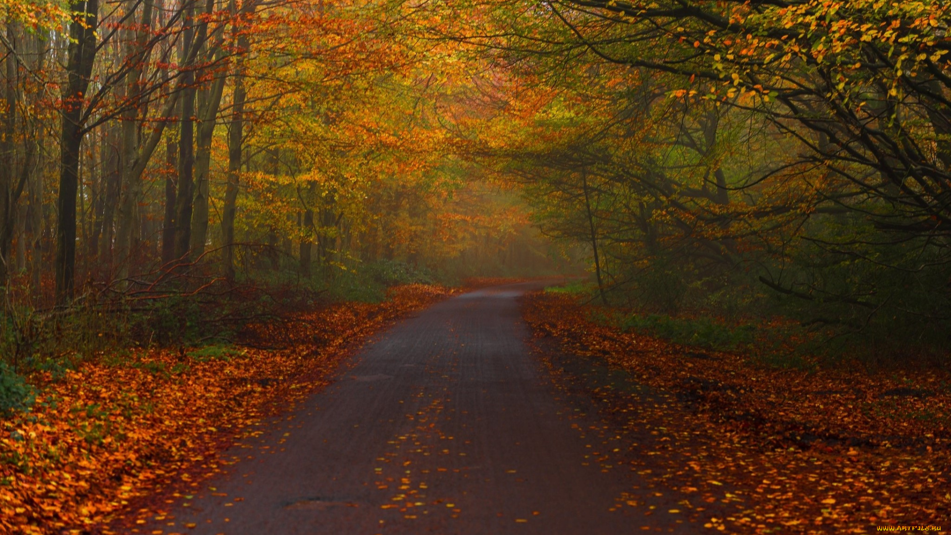 природа, дороги, простор