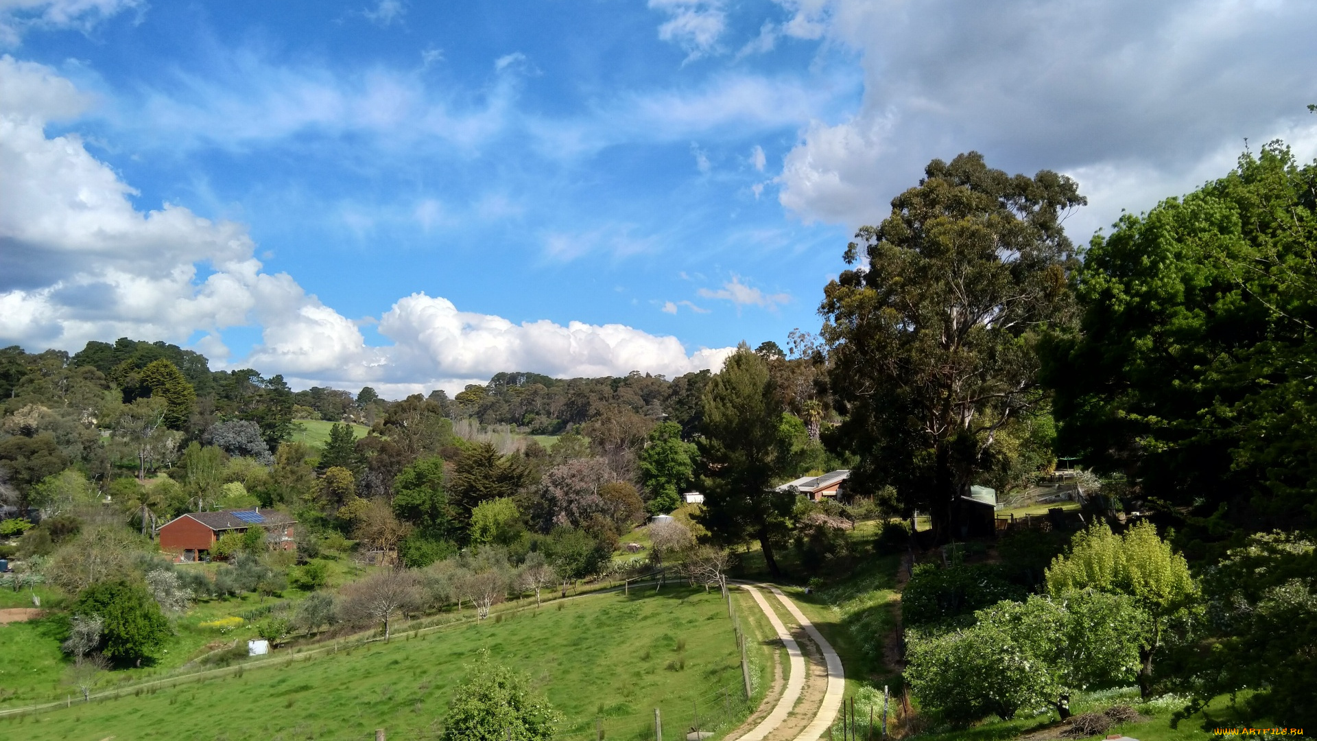 природа, дороги, сельская, дорога