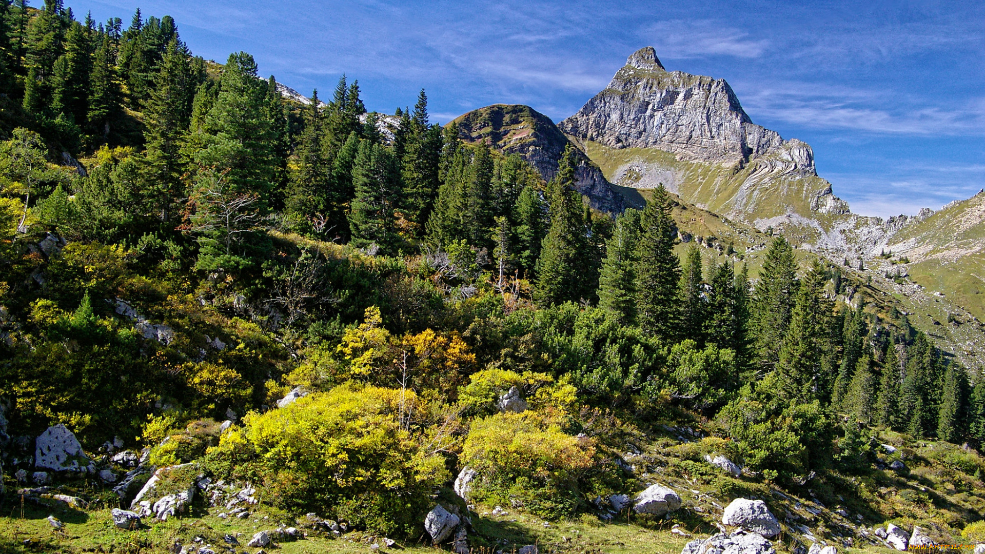 природа, горы, простор