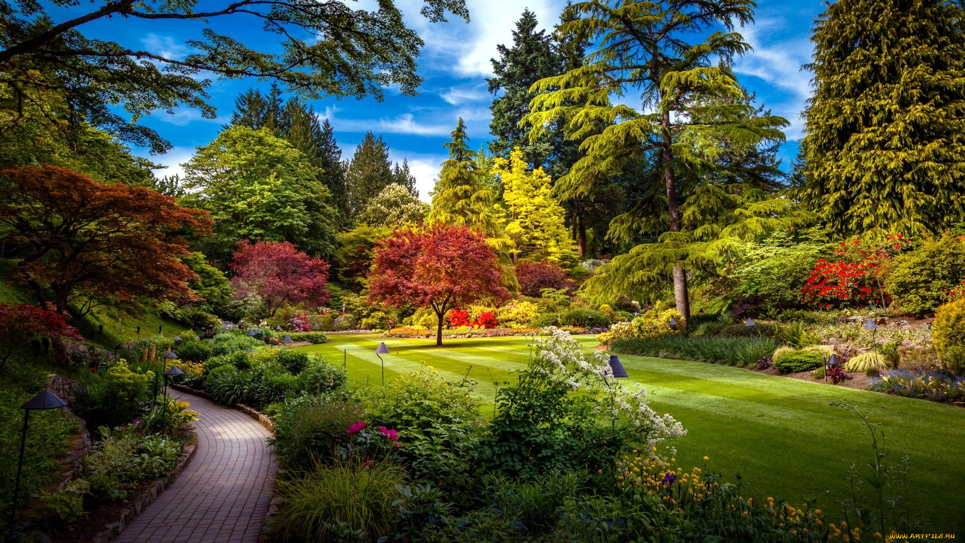 природа, парк, аллея, лужайка