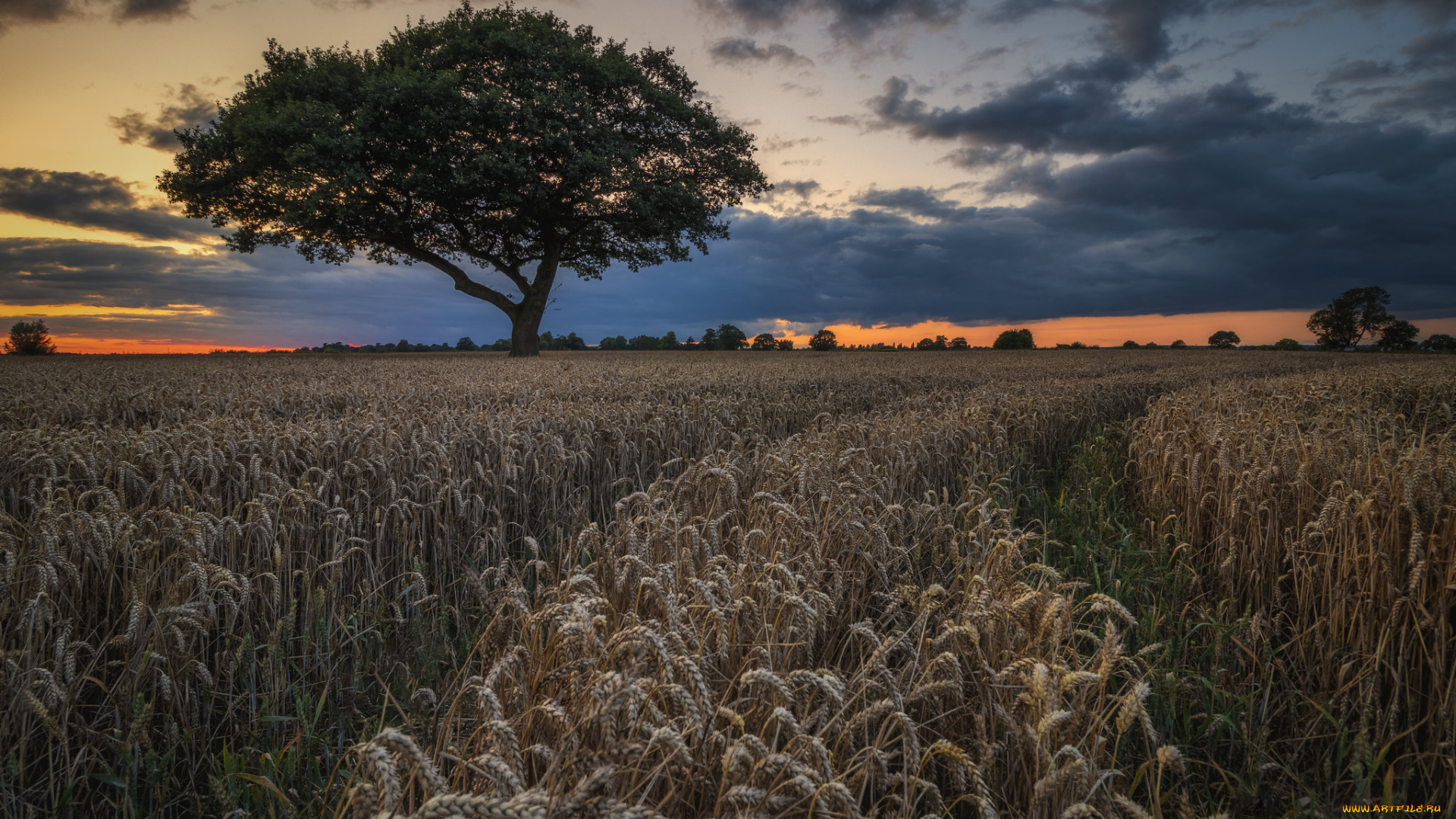 природа, пейзажи, простор