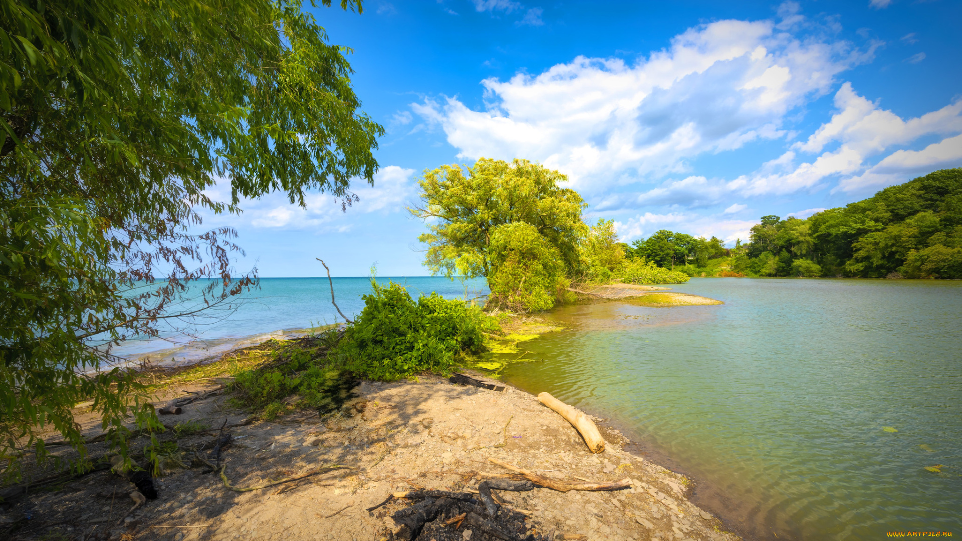 природа, побережье, простор