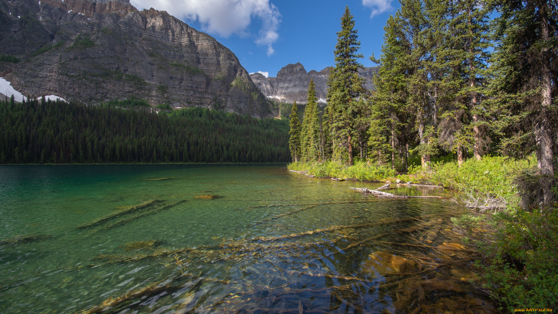 природа, реки, озера, простор