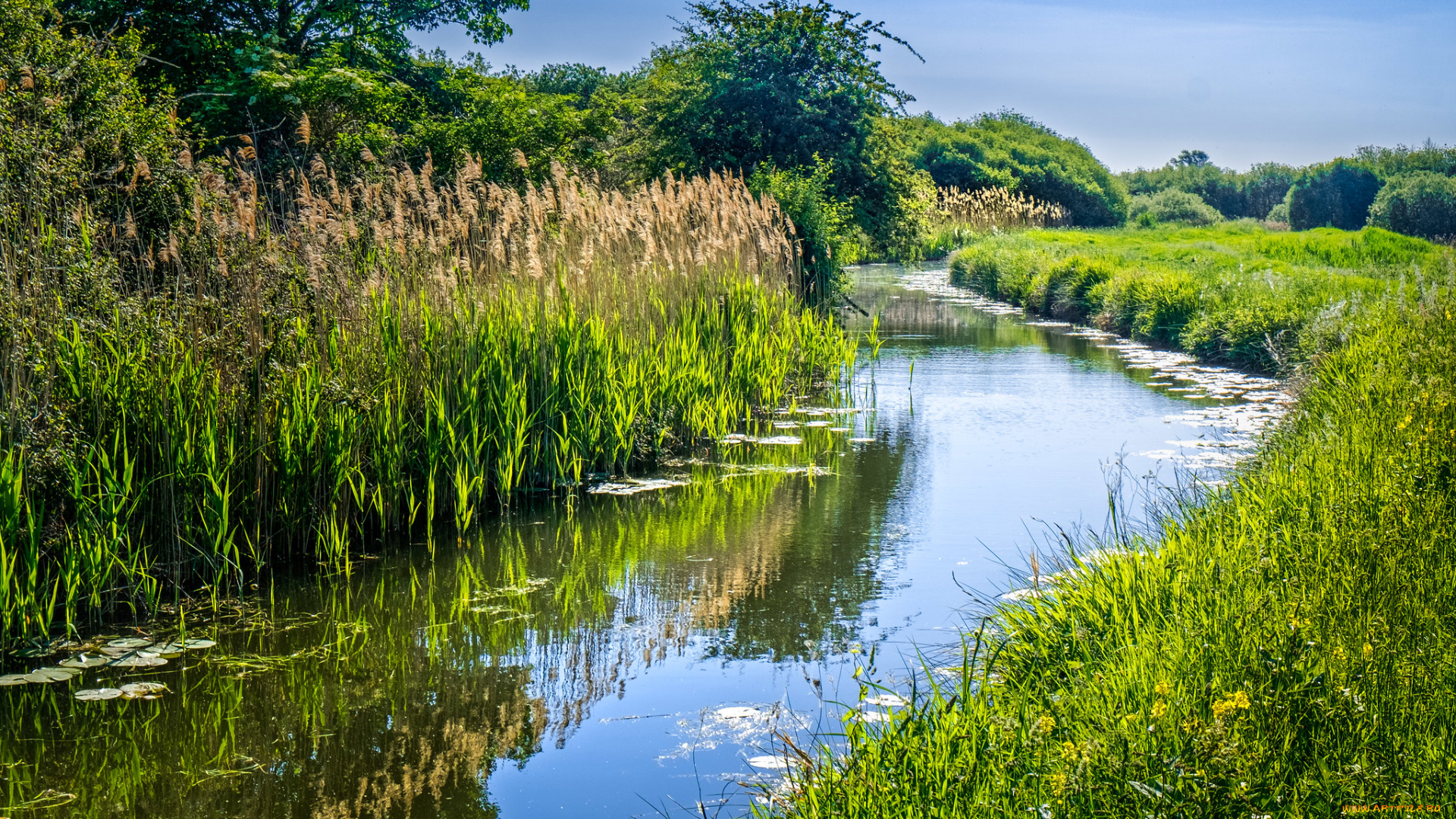 природа, реки, озера, простор