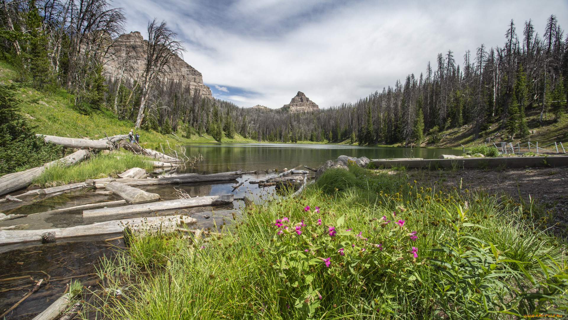 природа, реки, озера, простор