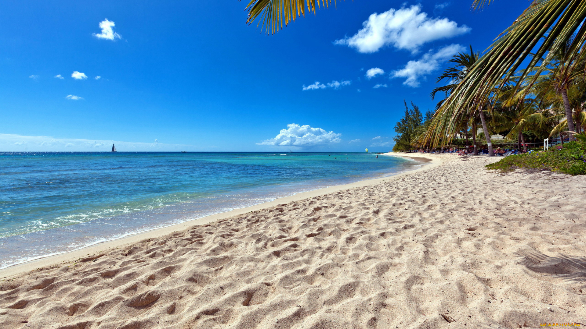 природа, тропики, песок, пальмы, пляж, море