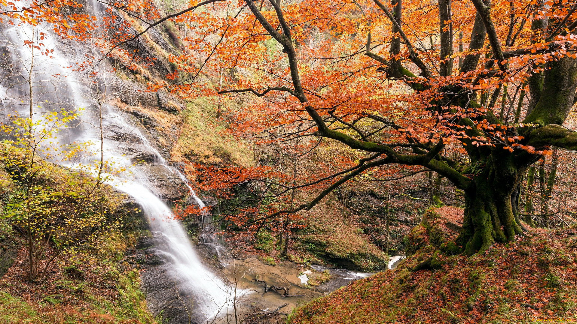 природа, водопады, поток, водопад, вода