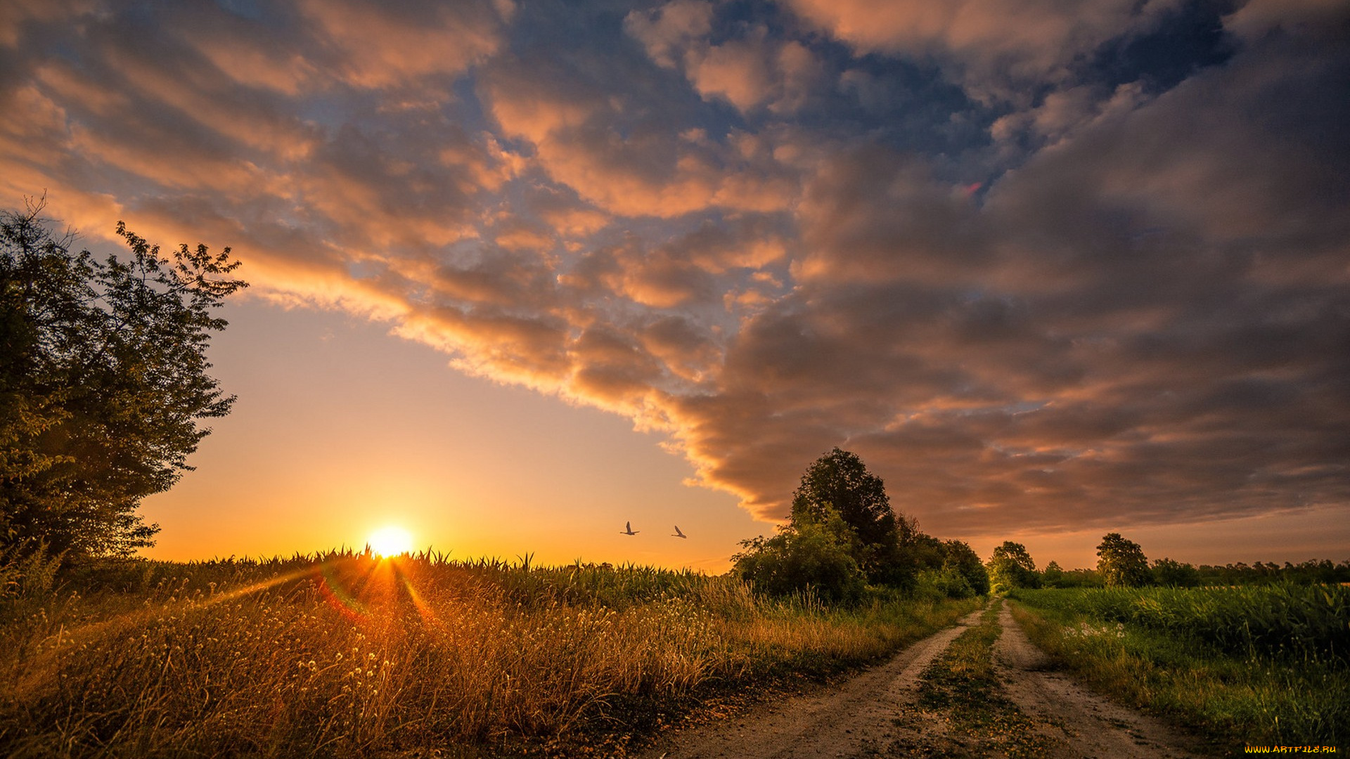 природа, восходы, закаты, простор