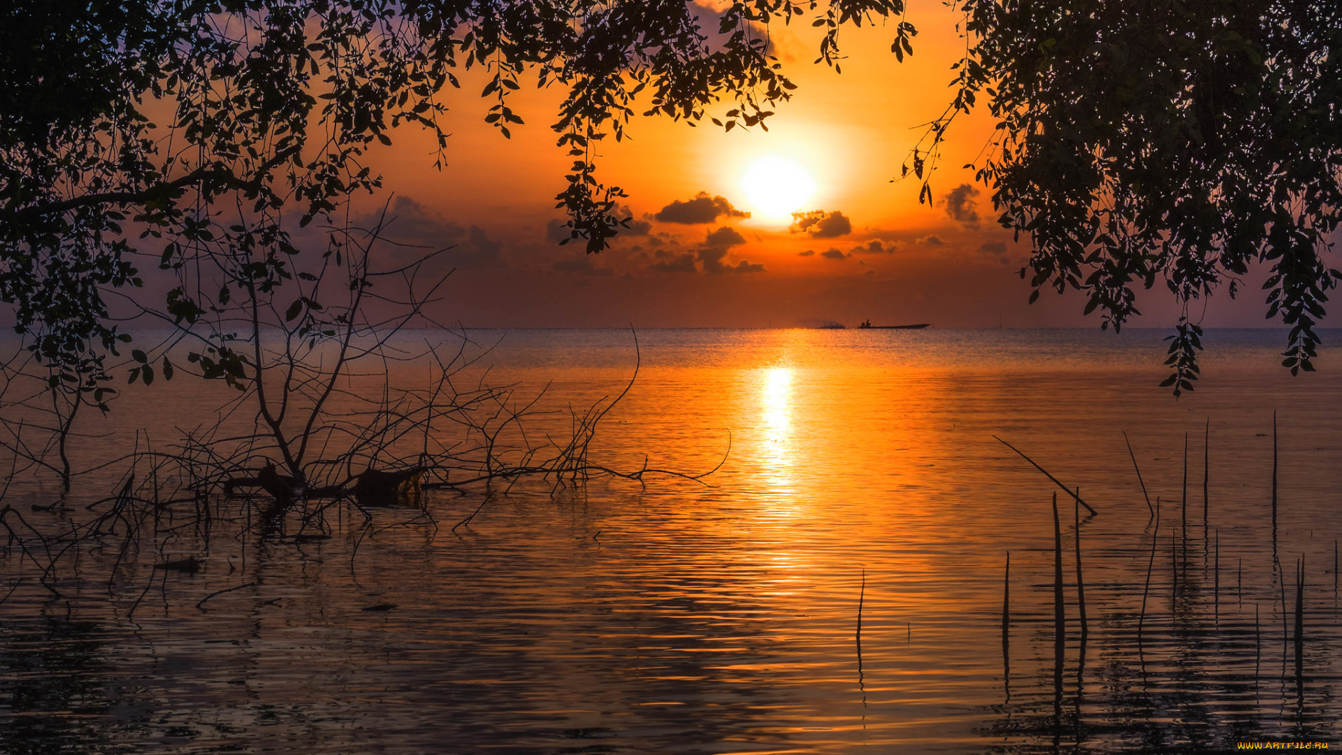 природа, восходы, закаты, простор