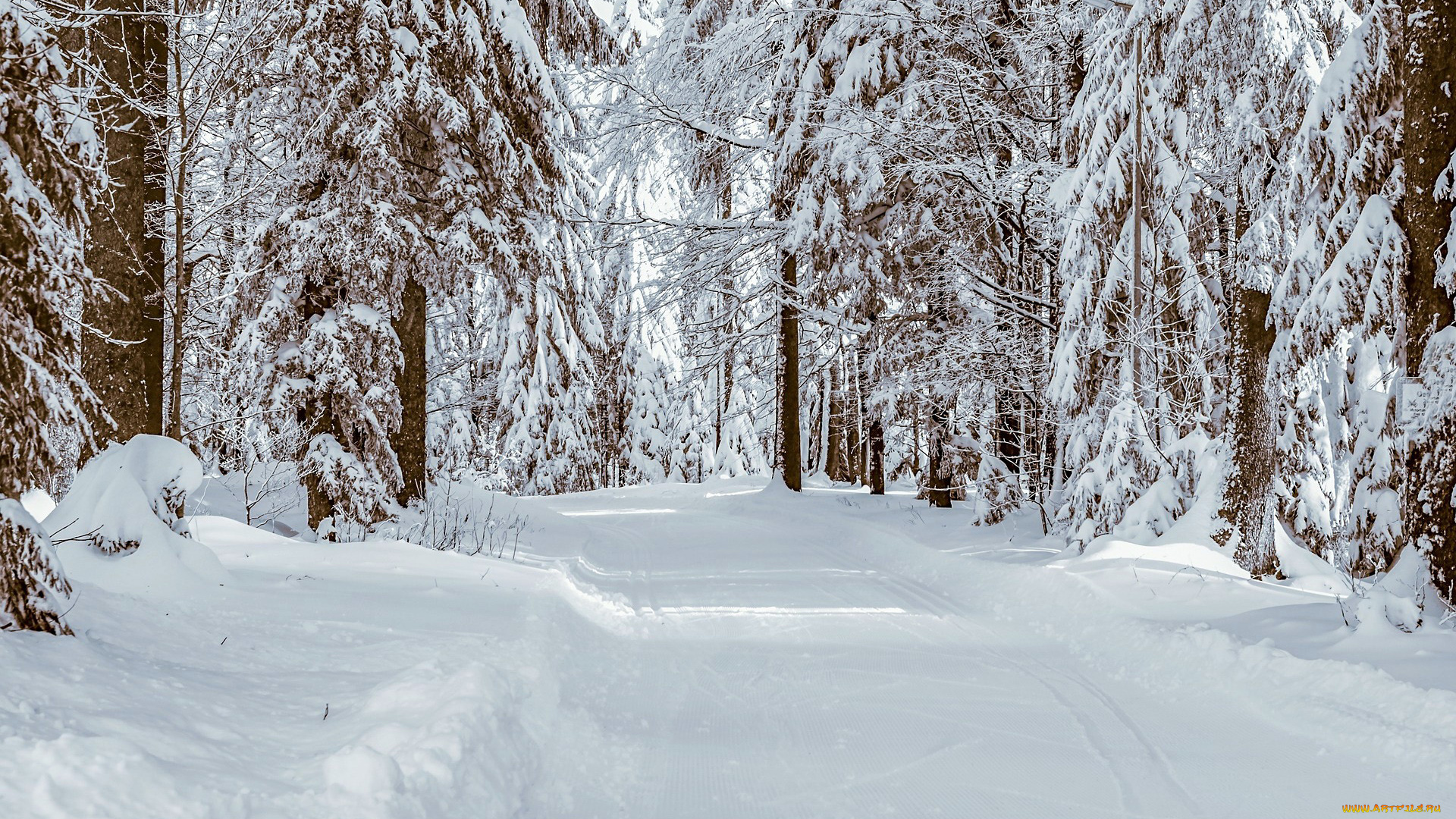 природа, зима, снег, сугробы